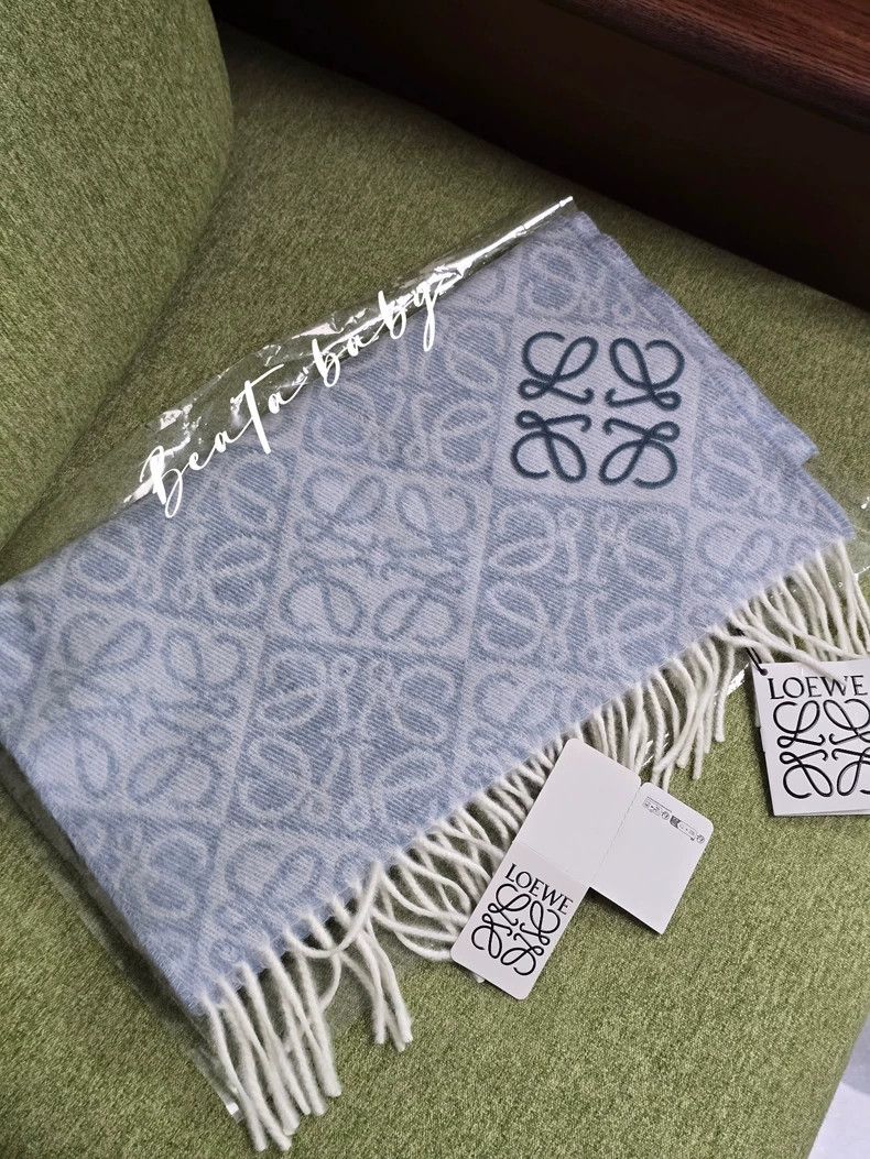 Loewe LOEWE The relief scarf is blue and pale blue Size ONE SIZE - 1 Thumbnail