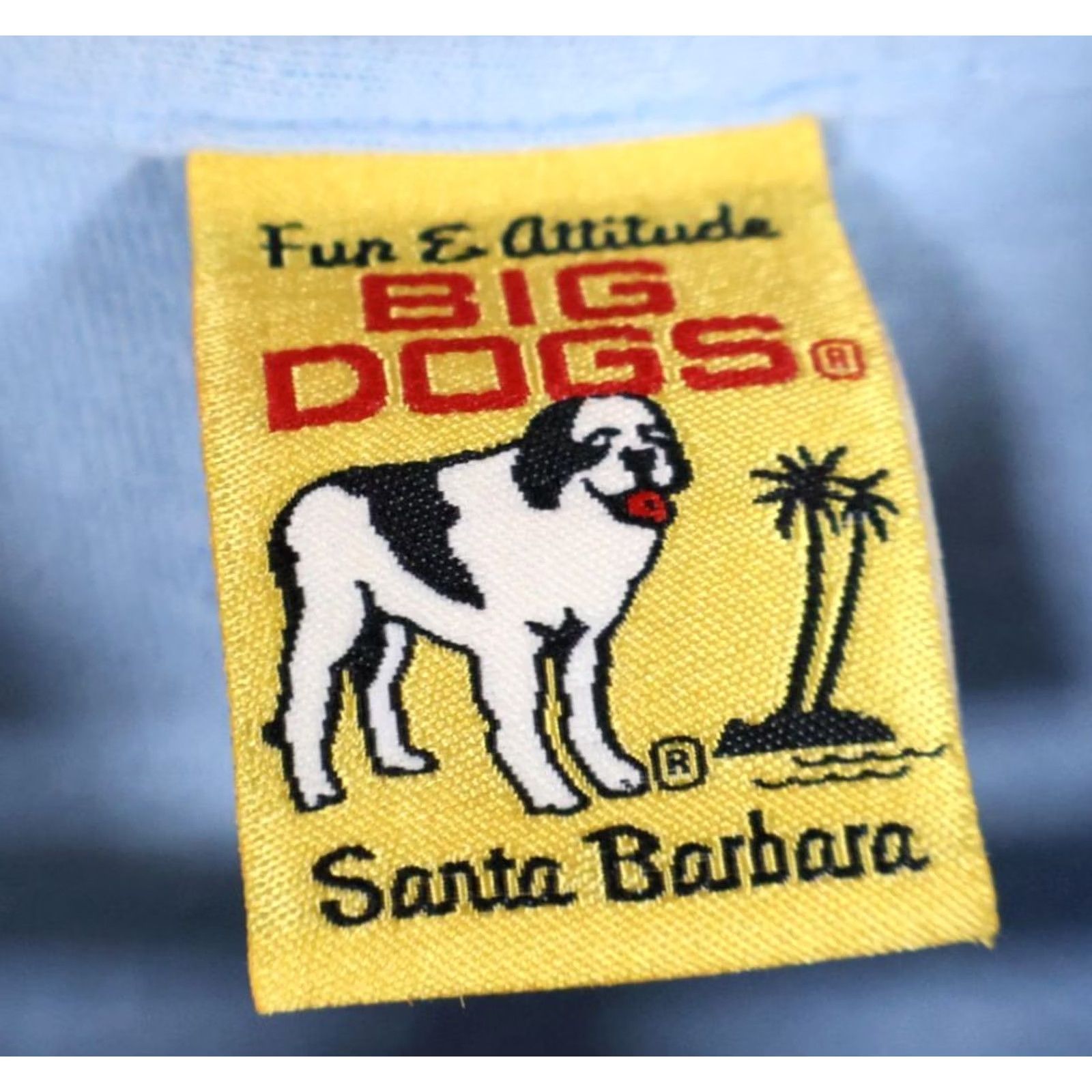 Big Dogs VINTAGE Big Dogs Shirt Mens 3XL Blue VTG Bee atch Adult Sky Queen Humor Y2K 2000s Size US XXL / EU 58 / 5 - 3 Thumbnail