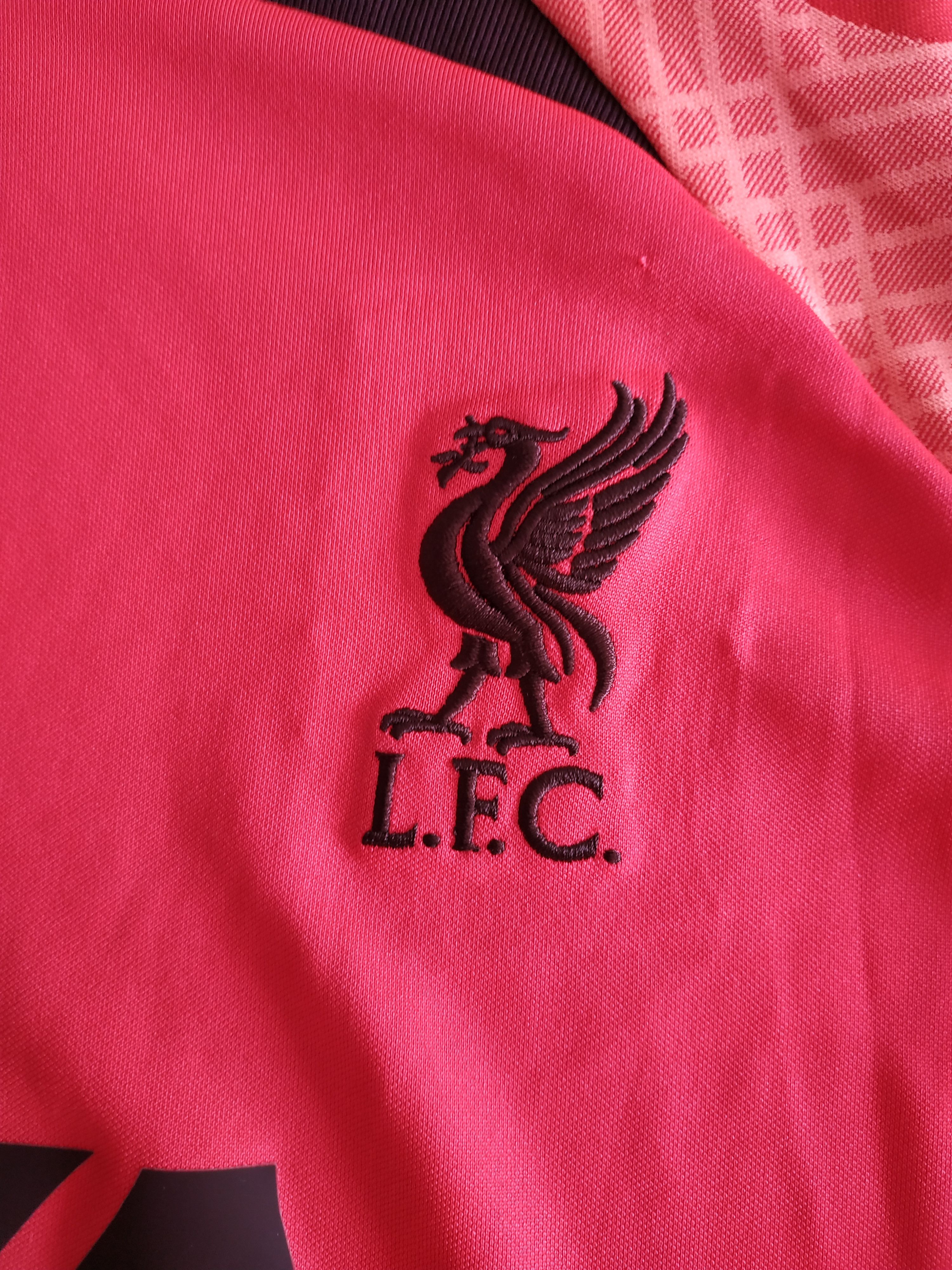 Nike Nike FC Liverpool Dri-Fit Men's 2022 Jersey, s. MEDIUM Size US M / EU 48-50 / 2 - 7 Thumbnail