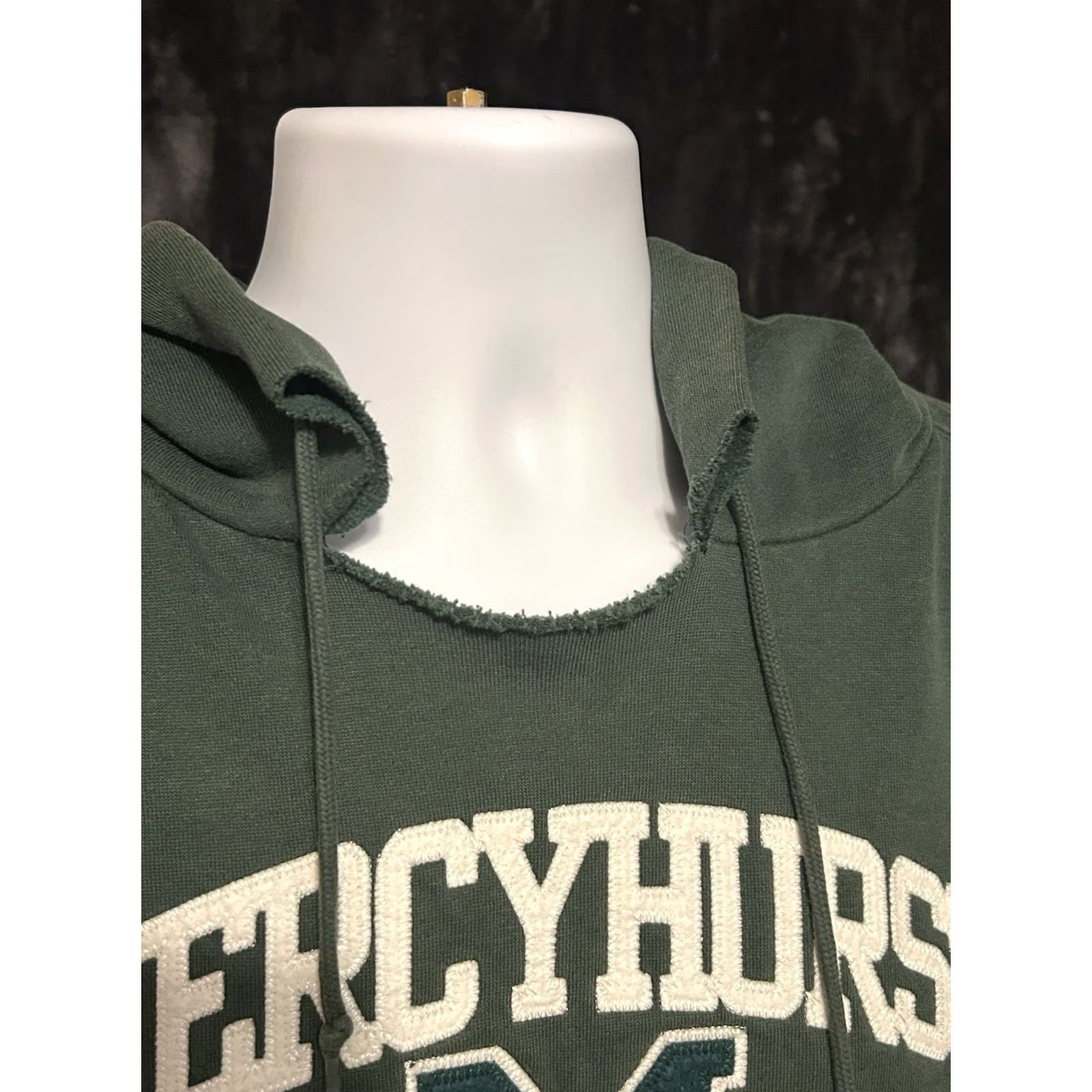 Jansport Vintage Mercyhurst Hoodie Adult Large Green Drawstring Jansport Stitched Pullover Size US L / EU 52-54 / 3 - 7 Thumbnail