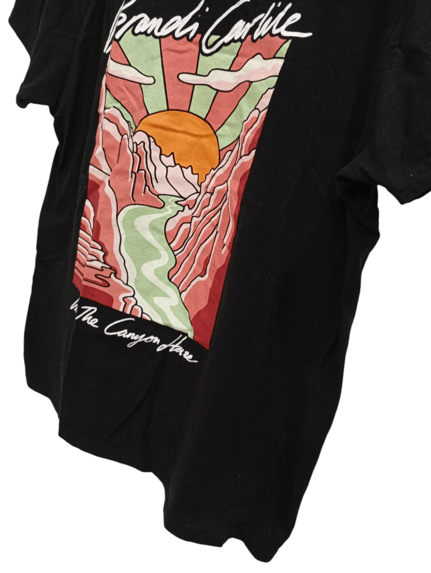 Band Tees × Vintage 🔥🔥Brandi Carlile In the Canyon Haze T-Shirt Size US M / EU 48-50 / 2 - 8 Thumbnail