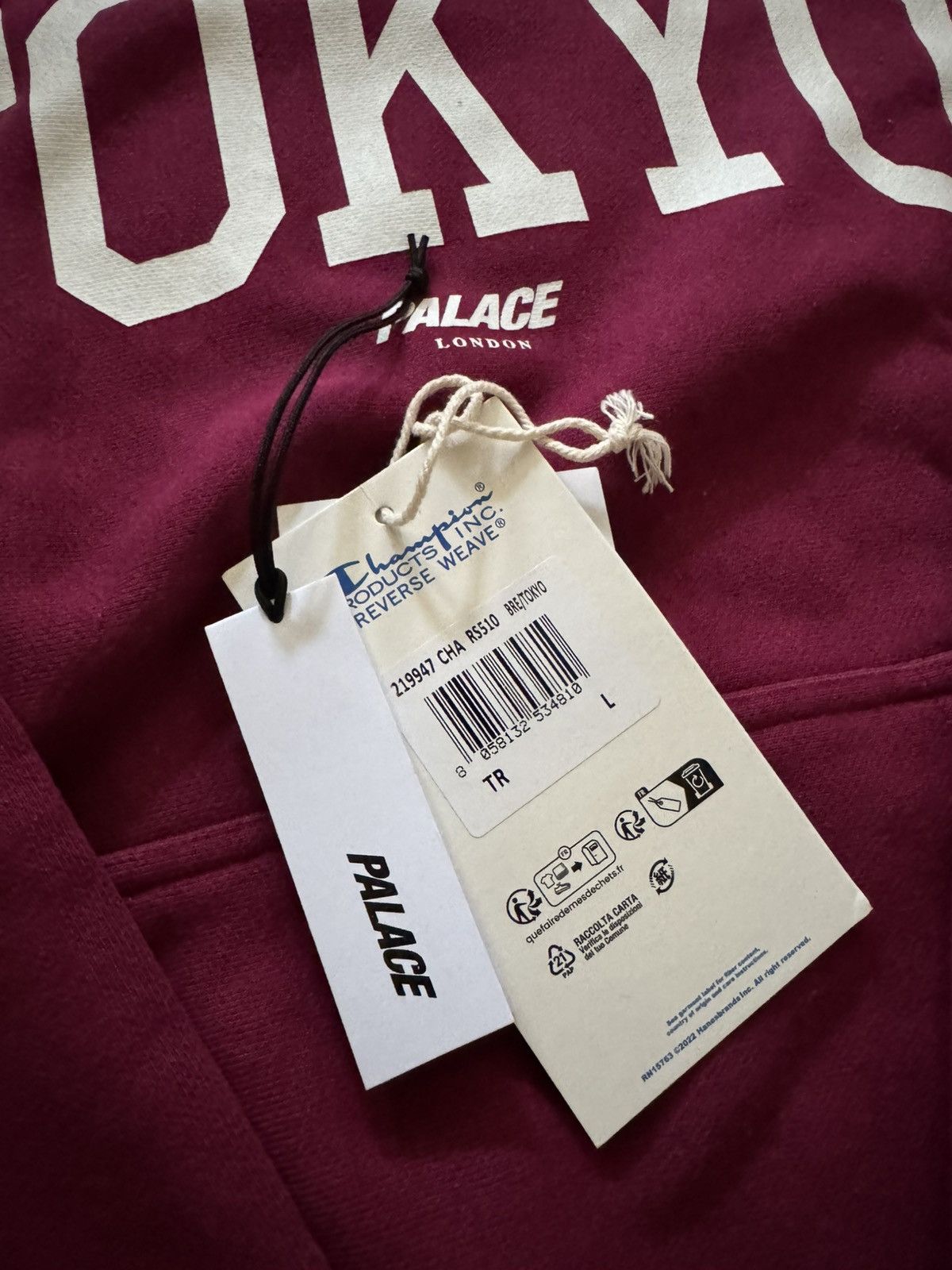 Champion × Palace Palace Champion Tokyo Hoodie Size US L / EU 52-54 / 3 - 2 Thumbnail