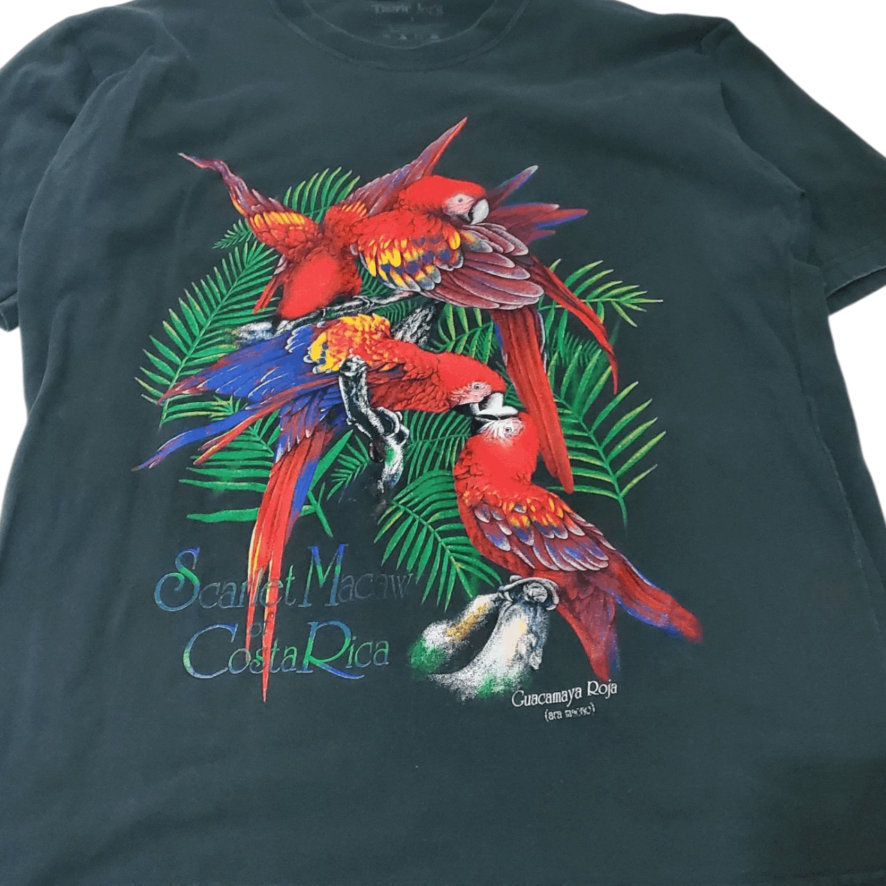 Vintage Vintage 2010s Scarlet Macaw T-Shirt Size US L / EU 52-54 / 3 - 2 Thumbnail