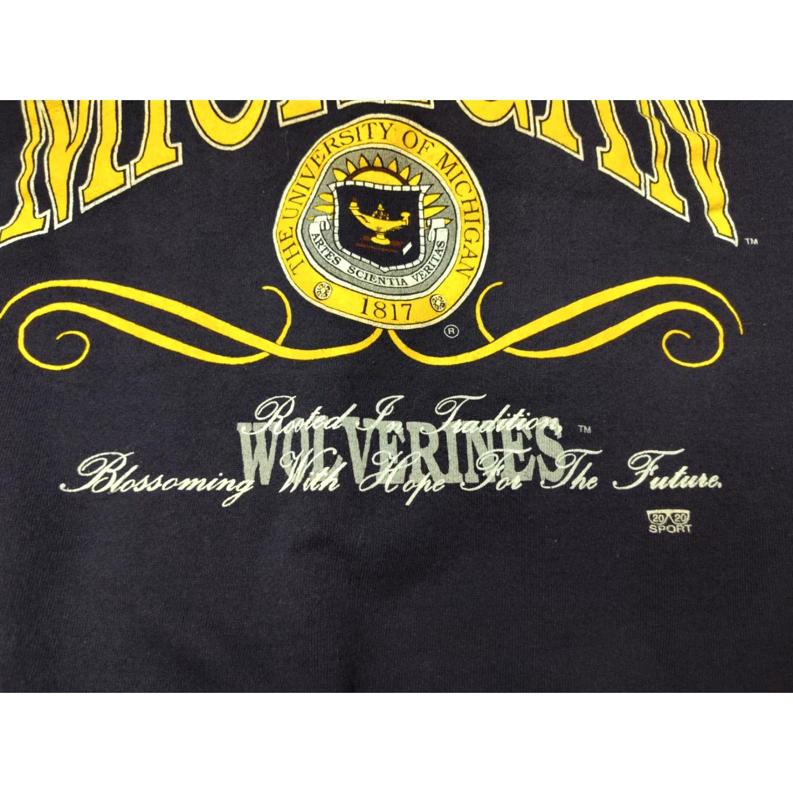 Vintage VINTAGE HVYWT 2020 Sweatshirt Minnesota Wolverines Seal Men M Blue Crew Neck Pullover 90s University College USA Mens Size US M / EU 48-50 / 2 - 5 Thumbnail