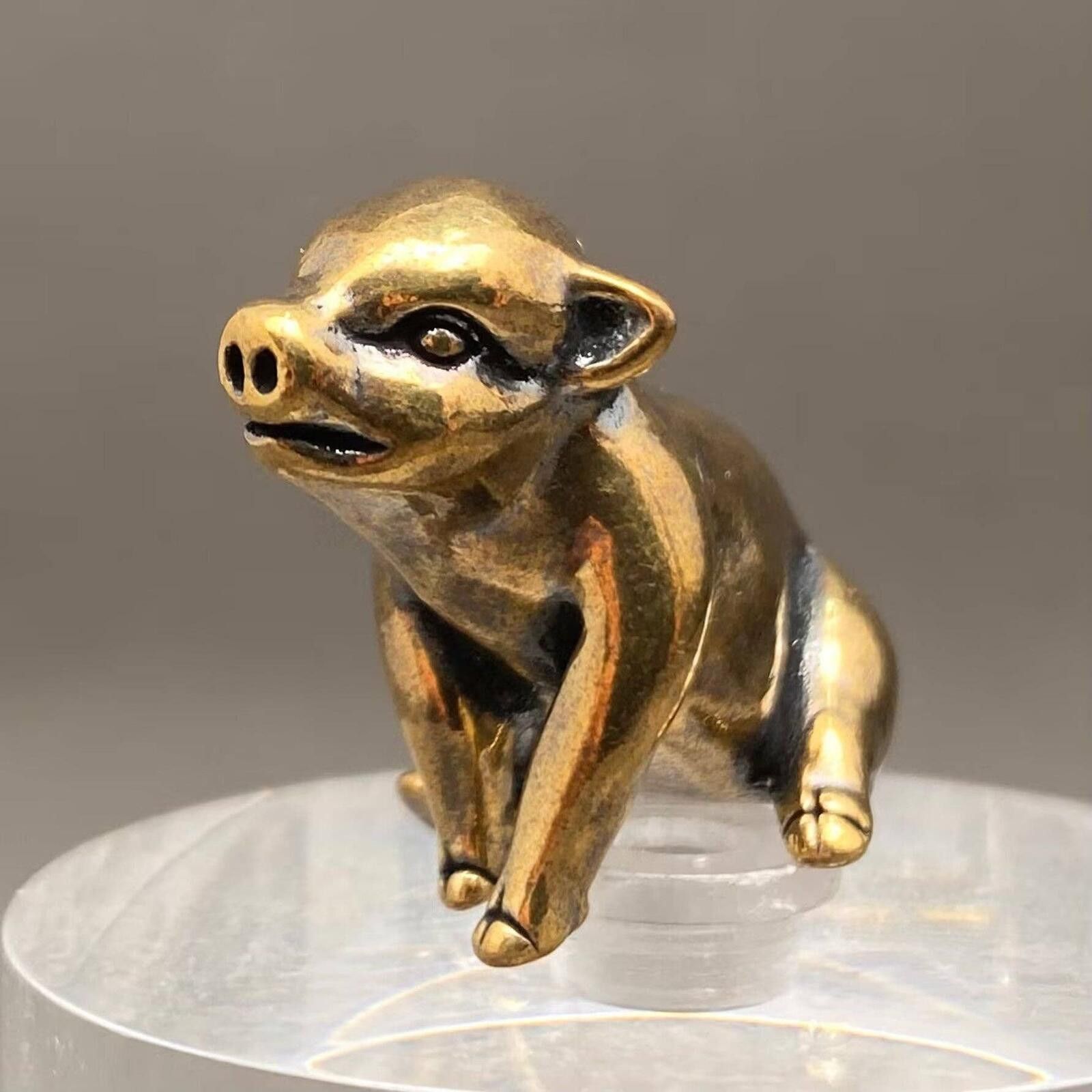 The Unbranded Brand Brass Sitting Pig Figurine Mini Baby Size ONE SIZE - 2 Thumbnail
