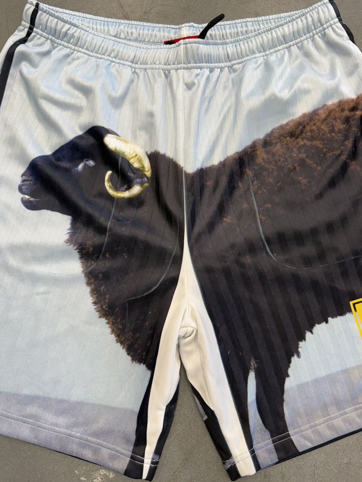 SS25 Supreme Damien Hirst Soccer Shorts