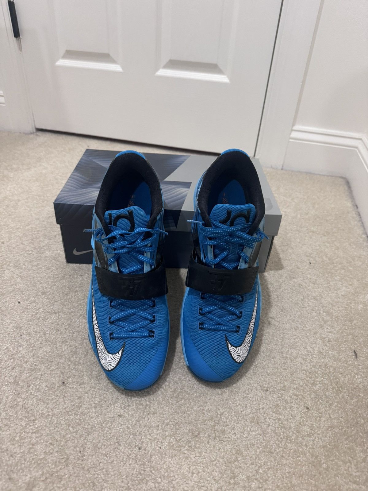 Kd 7 clearwater best sale