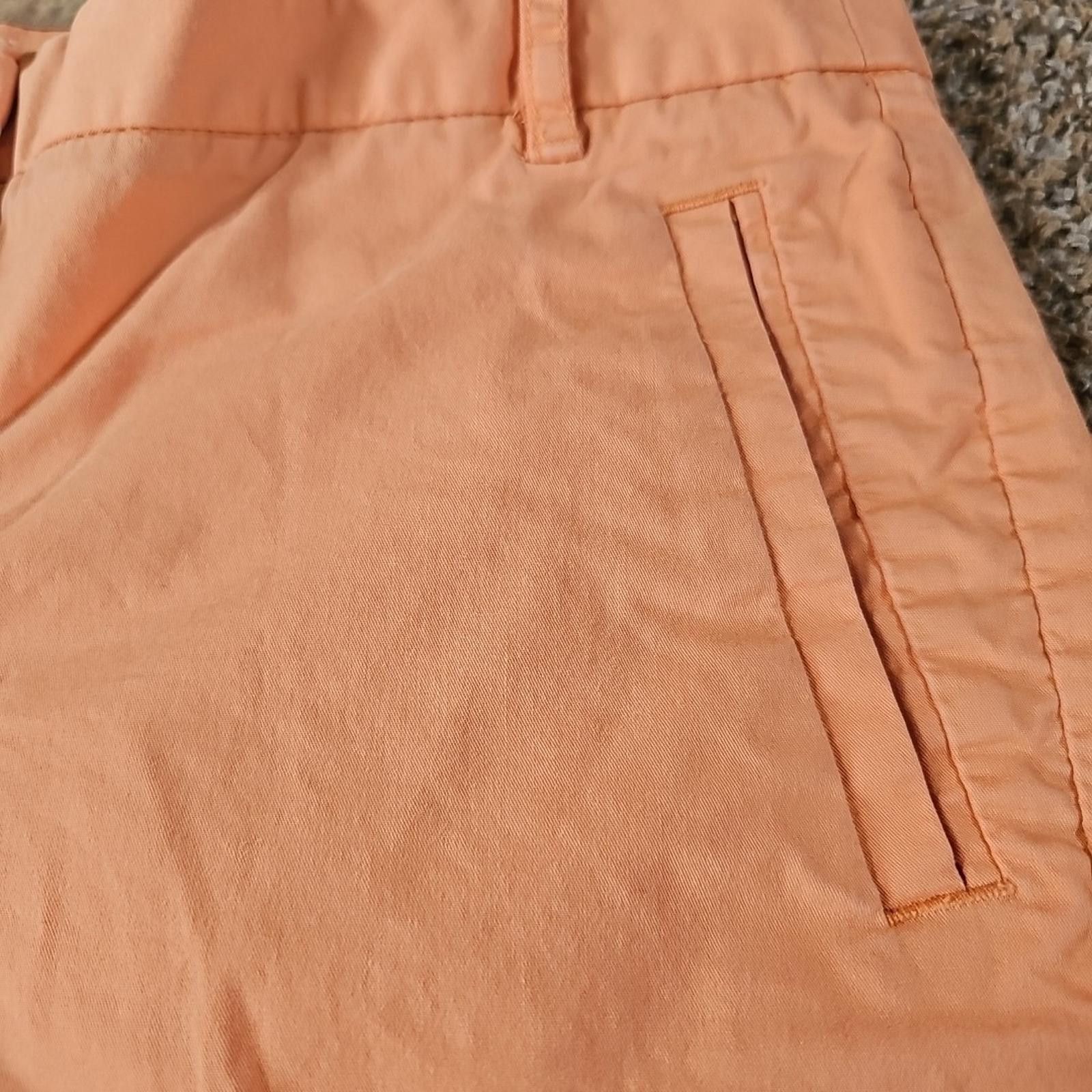 J.Crew J. Crew Stretch Sz 8 Orange Shorts Size 30" / US 8 / IT 44 - 2 Thumbnail