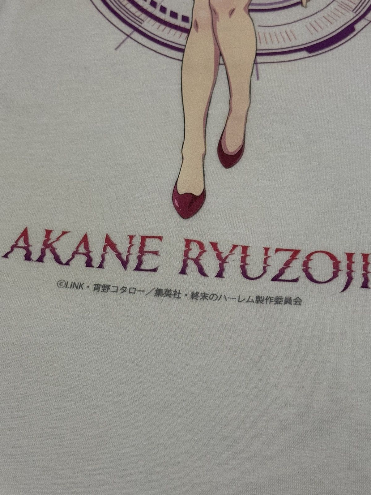 Anime Anime World end harem akane rare Size US L / EU 52-54 / 3 - 3 Thumbnail