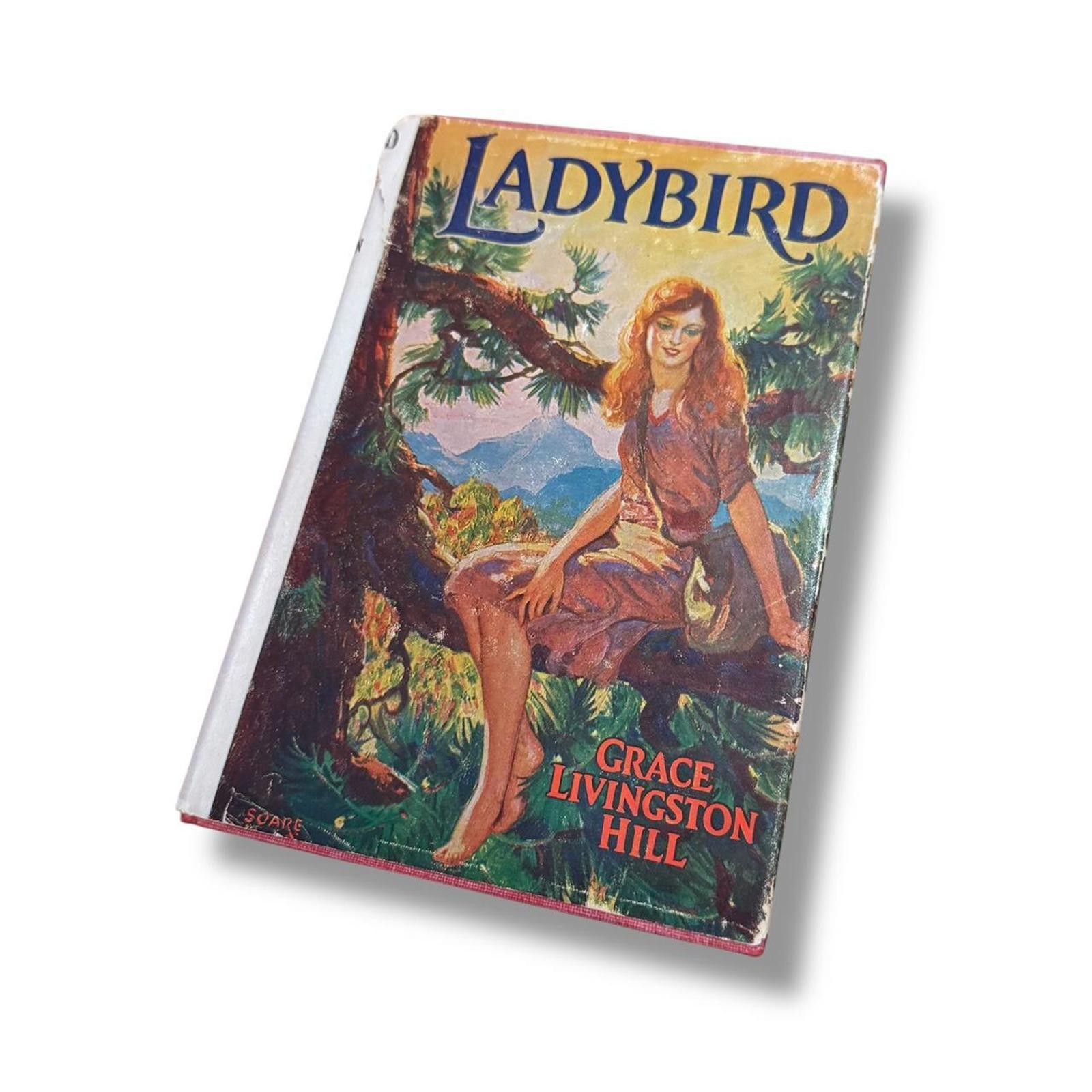 Designer Ladybird Grace Livingston Hill Hardcover Book Size ONE SIZE - 1 Thumbnail