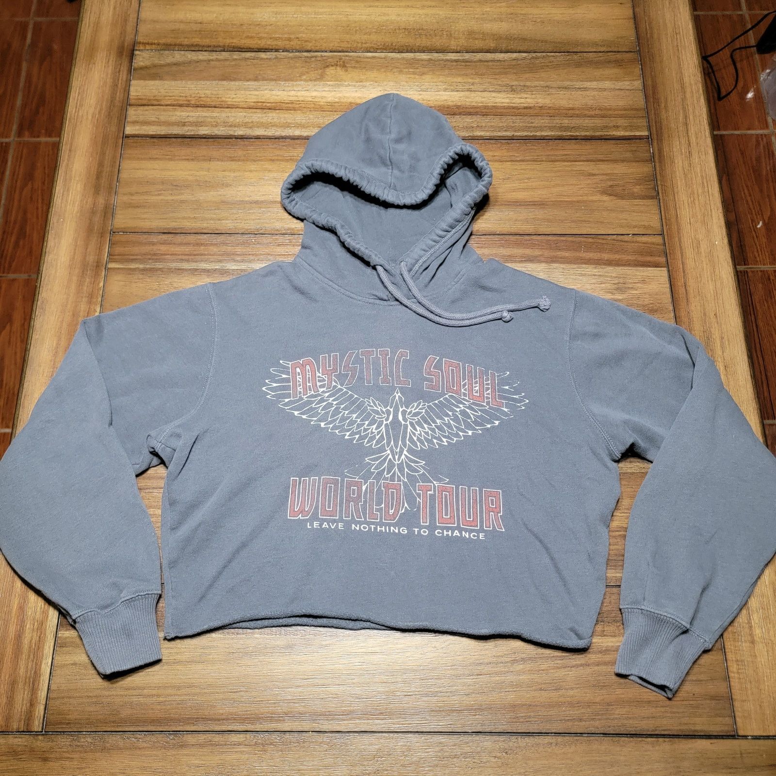 Hollister Hollister LS Crop Hoodie "Mystic Soul World Tour" - Size XS Size XS / US 0-2 / IT 36-38 - 2 Thumbnail