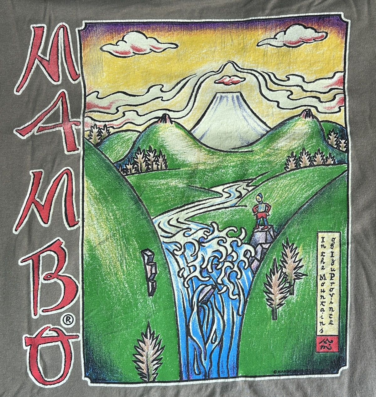 Mambo × Vintage MAMBO GRAPHICS X VINTAGE X FINE ART X AUSTRALIAN BRAND Size US M / EU 48-50 / 2 - 7 Thumbnail