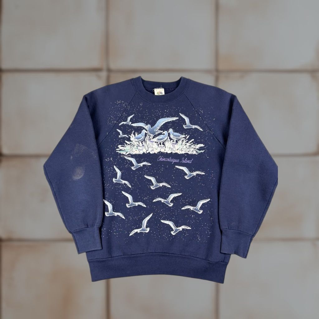 Fruit Of The Loom VINTAGE Fruit of the Loom Sweatshirt Chincoteague Island Virginia Nature Crewneck Blue M Men Regular Cotton Fleece Logo Pullover Size US M / EU 48-50 / 2 - 1 Thumbnail