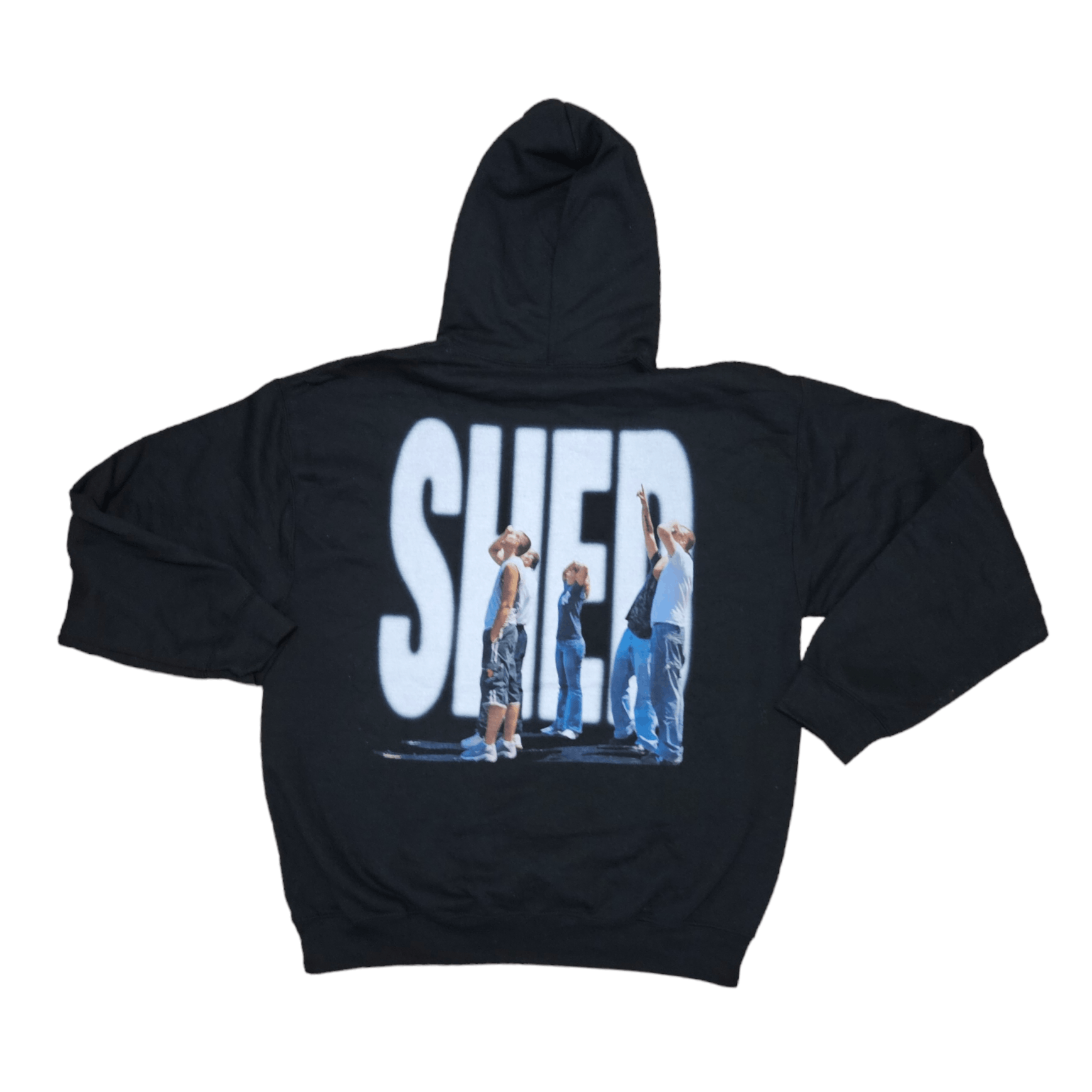 image of Aceii Shed Theory It's Beautiful From Up Here Hoodie Large in Black, Men's