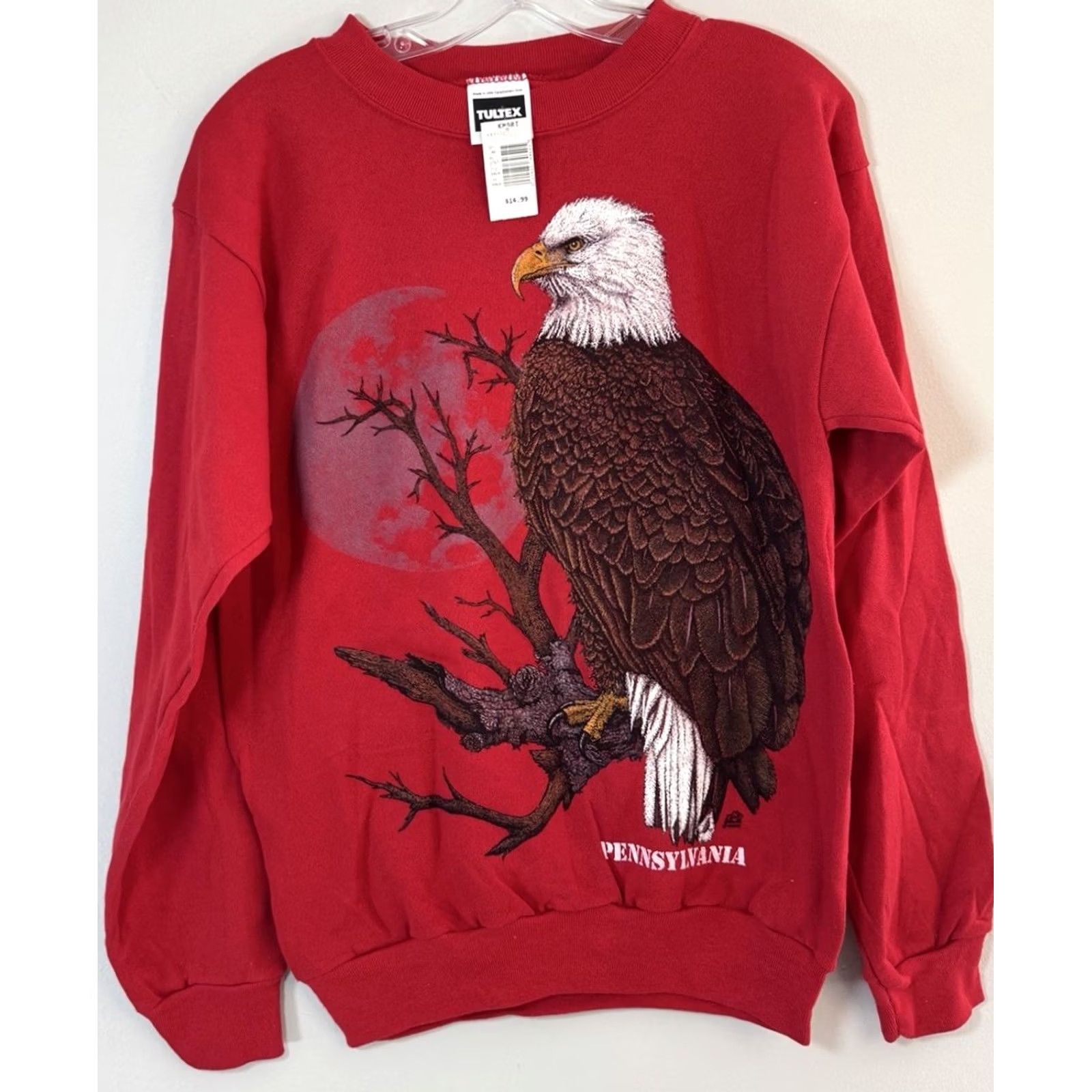 Tultex VINTAGE Tultex Eagle Nature Sweatshirt Mens Medium Pennsylvania 90s Made In USA Red Size US M / EU 48-50 / 2 - 2 Thumbnail