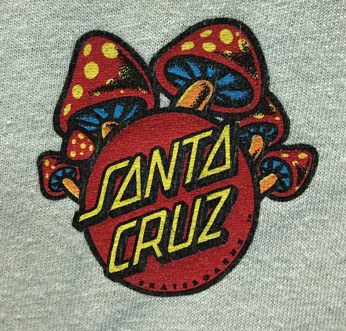 Santa Cruz Skateboards Vintage Santa Cruz Skateboards T-Shirt Size US M / EU 48-50 / 2 - 4 Thumbnail