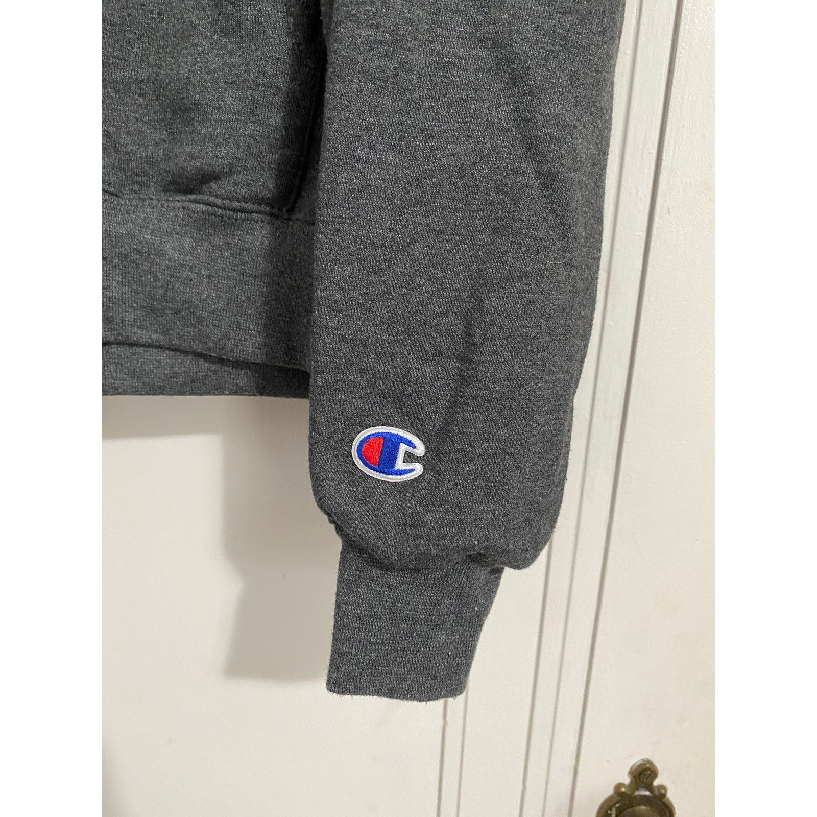 Champion Florida Gulf Coast University FGCU Eagles Stitched Hoodie- S Size US S / EU 44-46 / 1 - 3 Thumbnail