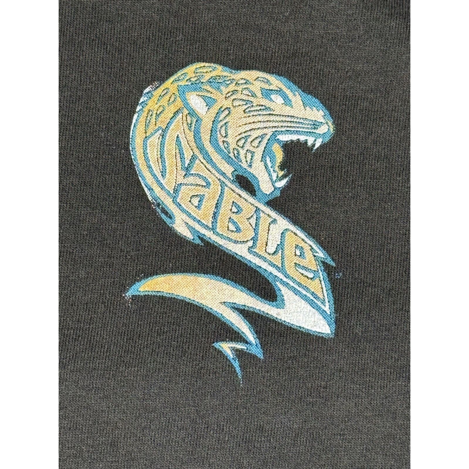 WWF Sable Bomb VTG Wrestling T Shirt Wrestler WWE Black Medium Size US M / EU 48-50 / 2 - 7 Thumbnail