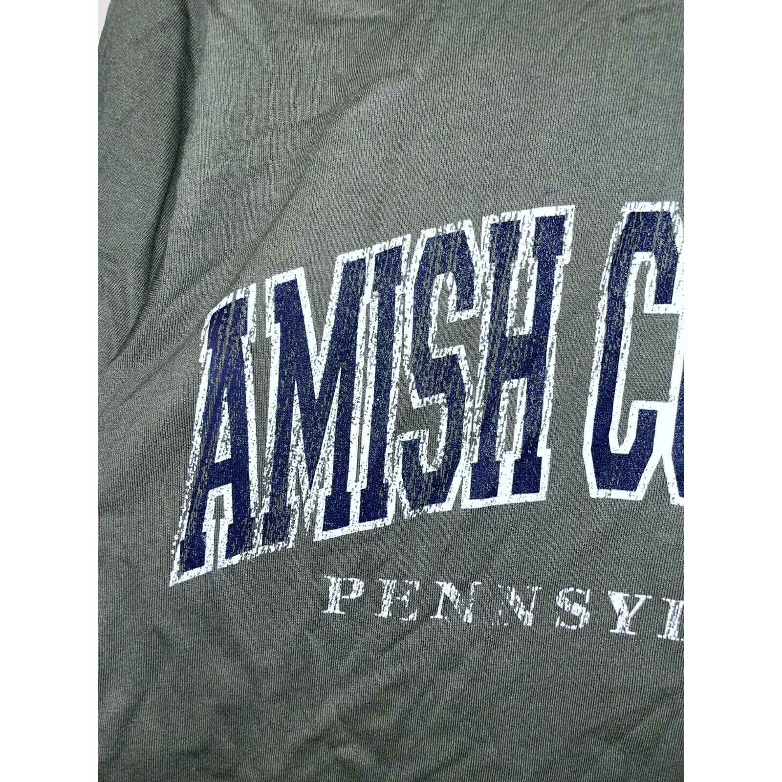 Anvil Vintage Amish Country Shirt Pennsylvania Green Tee VTG 90s M Size US M / EU 48-50 / 2 - 2 Thumbnail