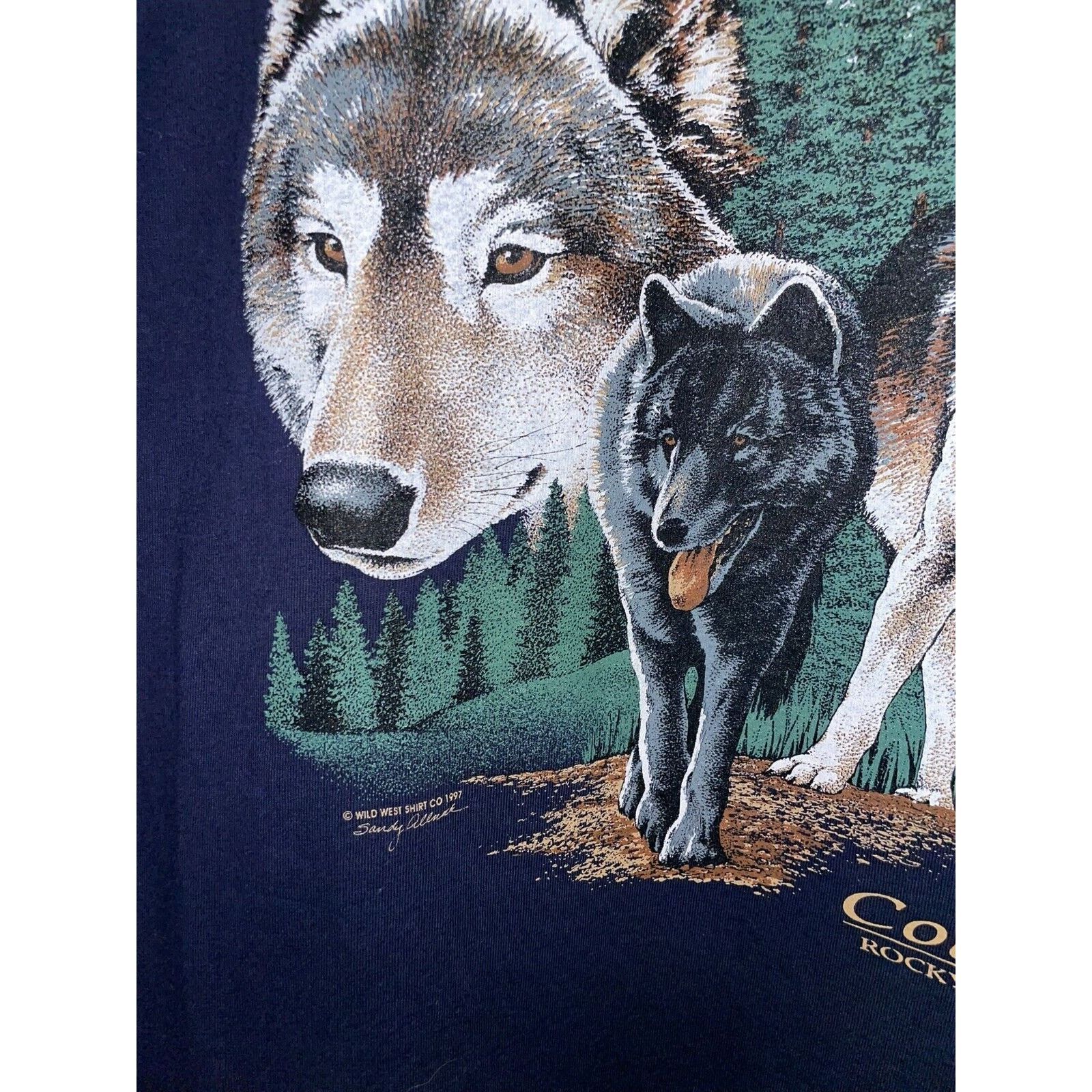 Jerzees Vintage Rocky Mountain Wolf Shirt Wolfs Blue Tee VTG 90s L Size US L / EU 52-54 / 3 - 4 Thumbnail