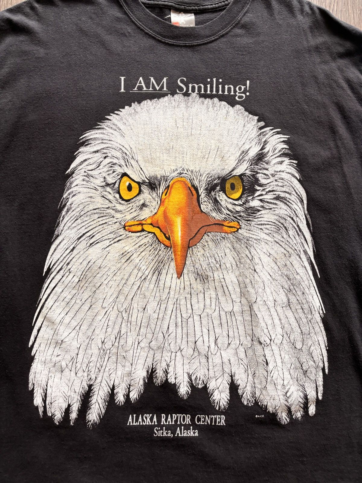 Vintage Vintage Alaska Raptor Center I AM SMILING Bald Eagle T-Shirt Size US XL / EU 56 / 4 - 2 Thumbnail
