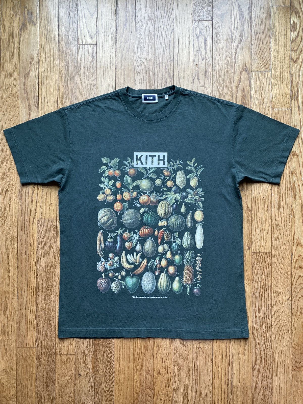 Kith Kith Plant Fruit Pumpkin Seed Tee Sz S Size US S / EU 44-46 / 1 - 3 Thumbnail