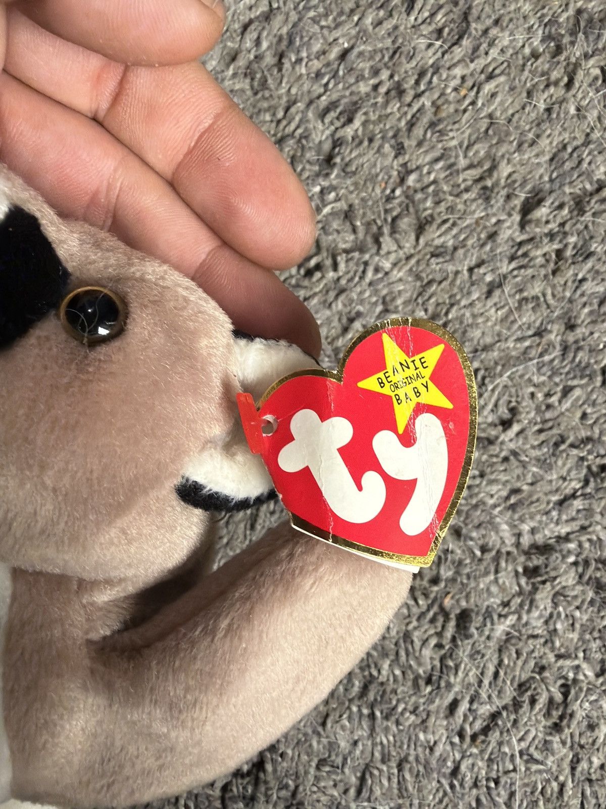 Vintage 1998 Ty Canyon Beanie Baby Size ONE SIZE - 3 Thumbnail