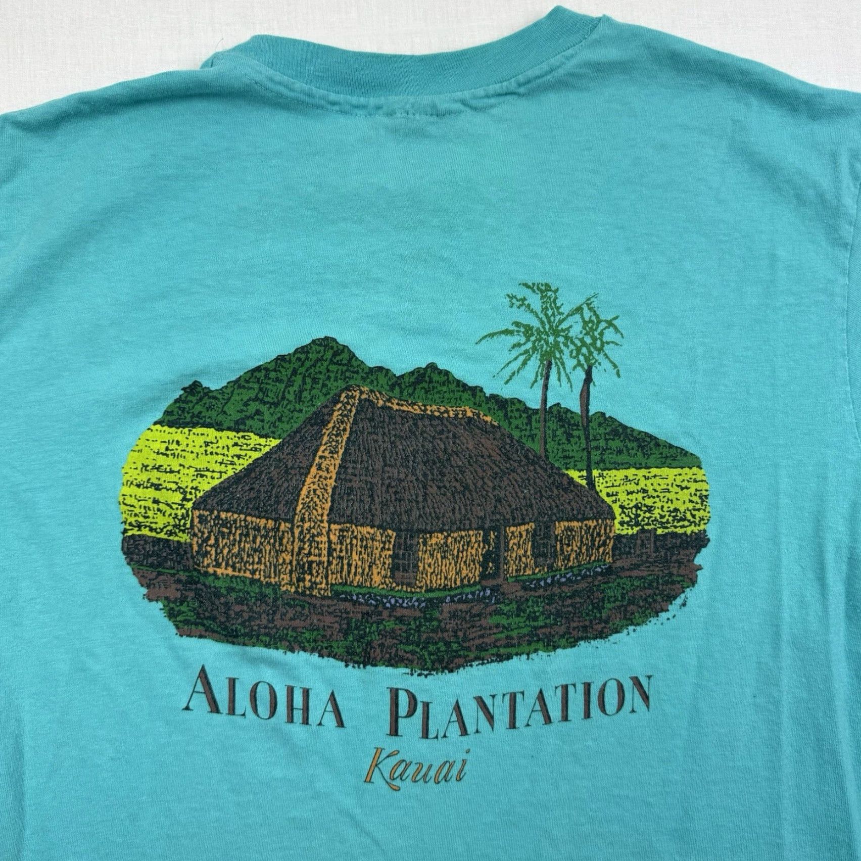 Hanes VINTAGE Hanes T-Shirt Island Nature 90s Kauai Hawaii Blue Adult Large Mens Short Sleeve Crew Neck Shirt 1990s 90s theme Size US L / EU 52-54 / 3 - 2 Thumbnail
