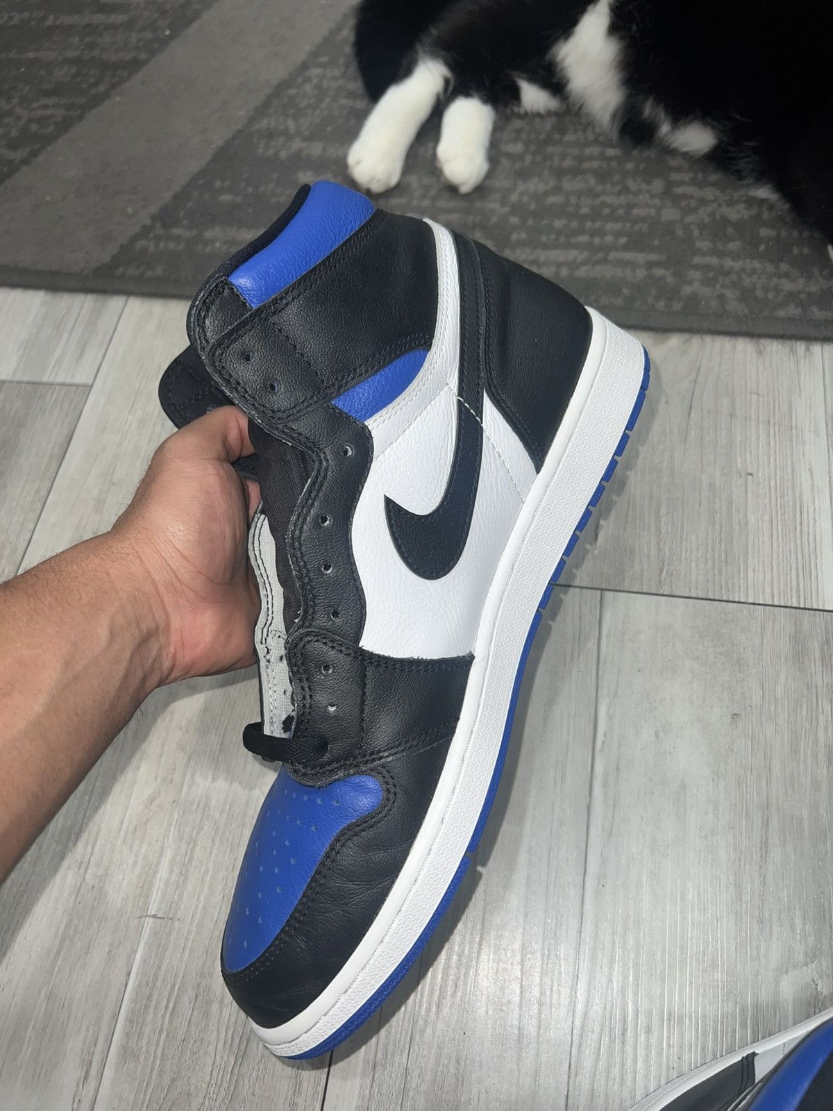 Nike Jordan 1 Retro High (Royal toe) Size US 13 / EU 46 - 1 Thumbnail
