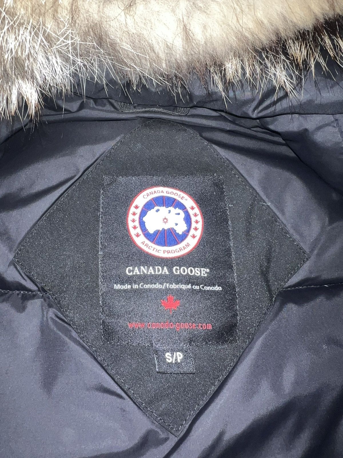 Canada Goose Canada Goose Chilliwack Bomber Jacket Size US S / EU 44-46 / 1 - 5 Thumbnail