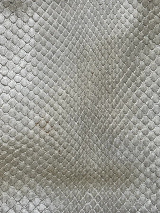 Celine AW2002 Celine Daydream Cream Python Leather Bag by Michael Kors Size ONE SIZE - 12 Thumbnail