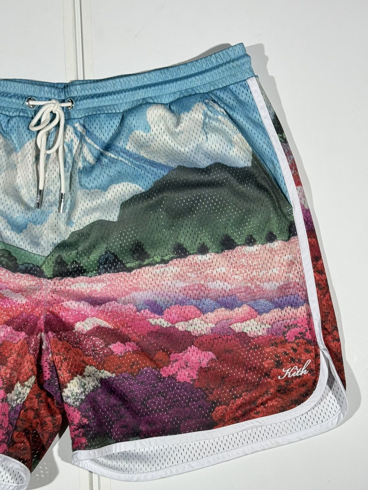 Kith Kith Mountain Graphic Print Jersey Shorts Size US 40 / EU 56 - 2 Thumbnail