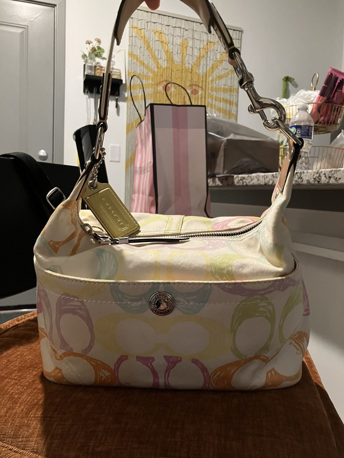 Coach Multicolored Hampton Hobo Bag Vintage