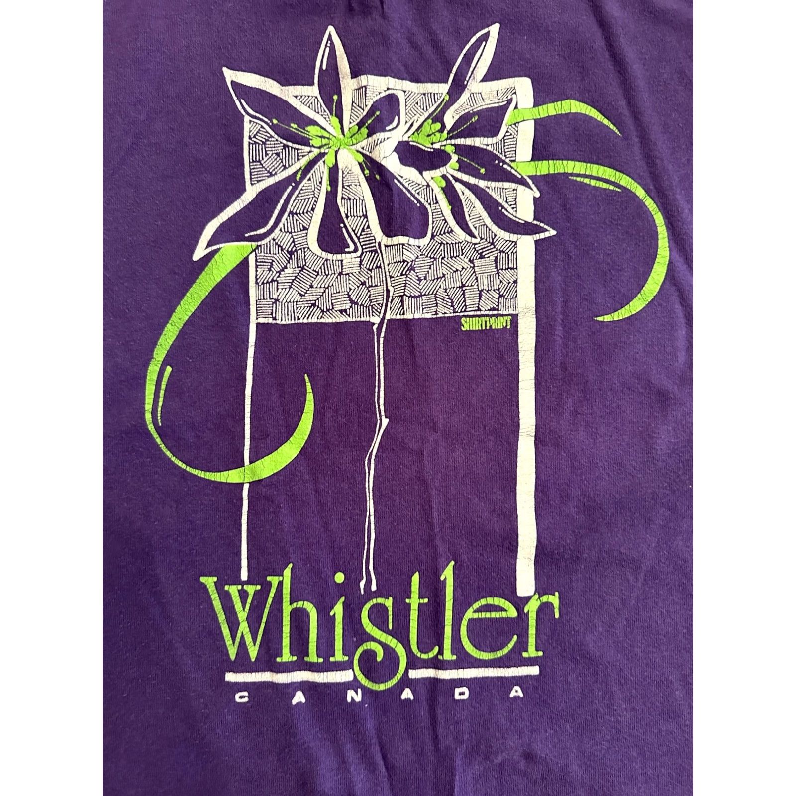 Hanes VINTAGE 90s Whistler Canada T-Shirt Medium Purple Hanes Unisex Cotton USA Made Single Stitched Shirt Mens Womens Size US M / EU 48-50 / 2 - 2 Thumbnail