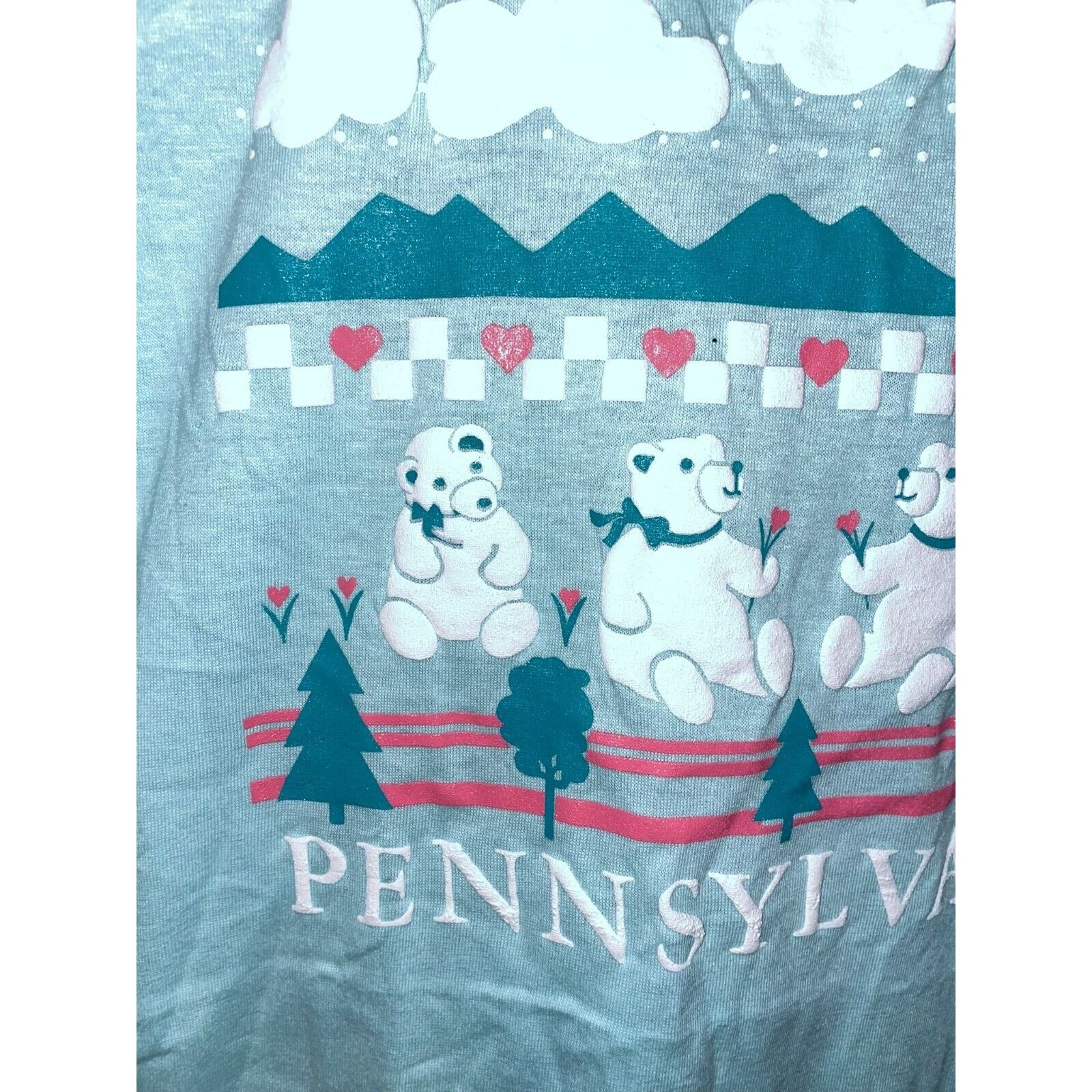 Jerzees Vintage Pennsylvania Blue Shirt Bear Nature Blue Tee 80s M Size US M / EU 48-50 / 2 - 2 Thumbnail