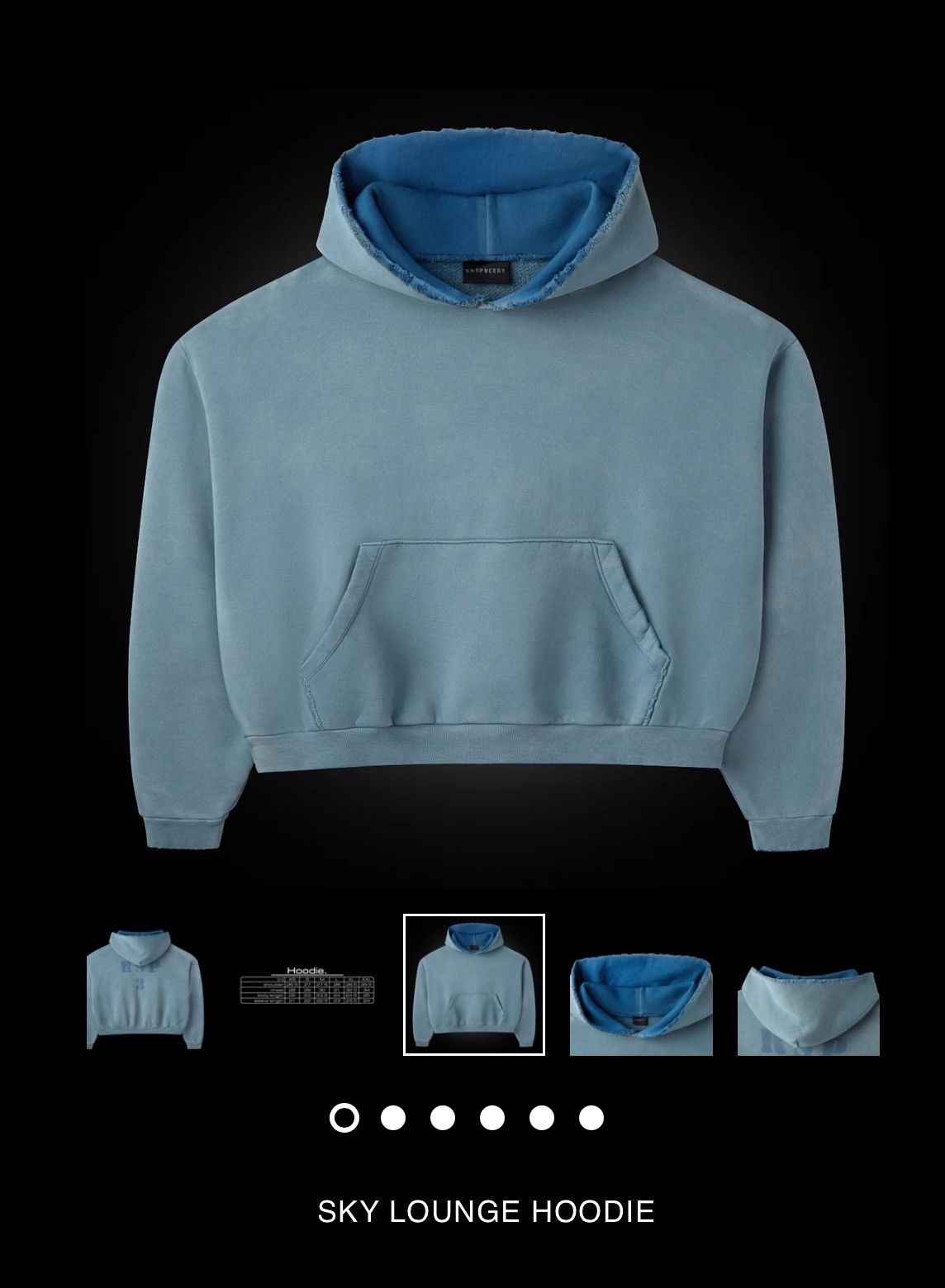The GV Gallery Sky lounge hoodie Size US S / EU 44-46 / 1 - 1 Thumbnail