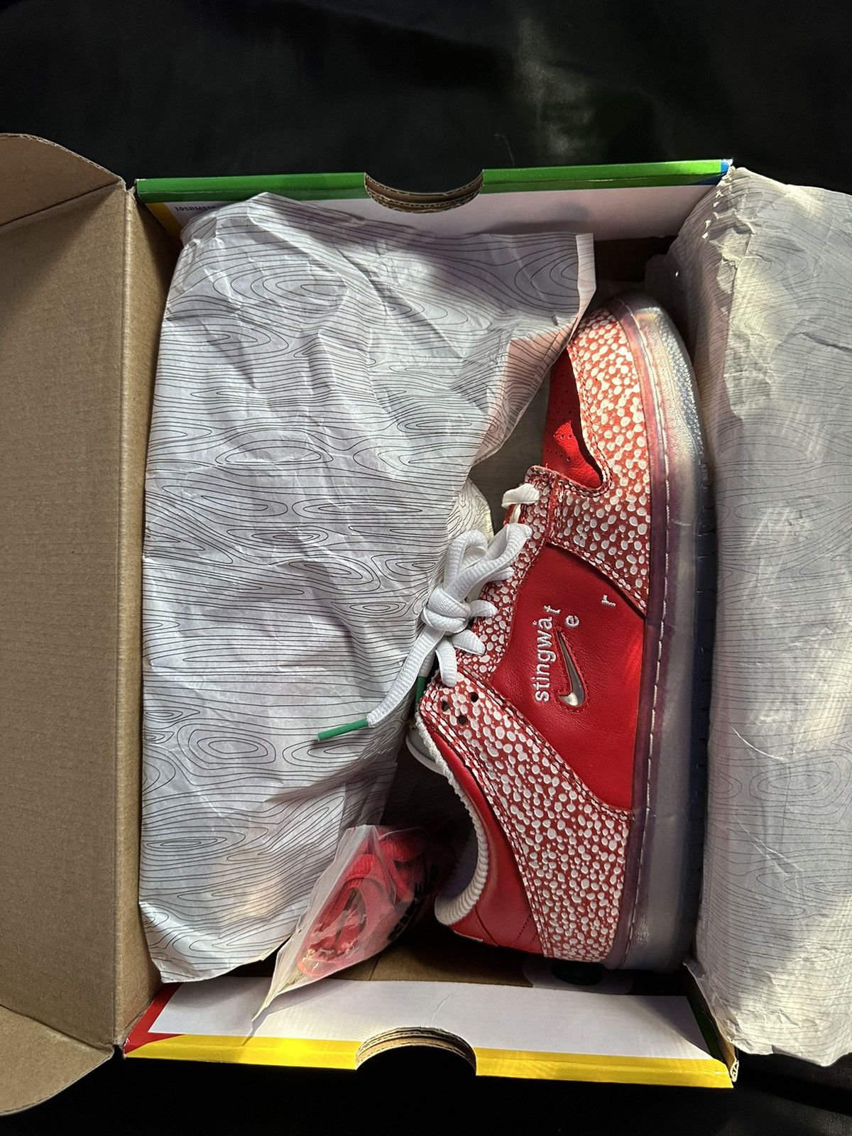 Nike × Stingwater LOW SB DUNK “STINGWATER” Size US 9.5 / EU 42-43 - 11 Thumbnail