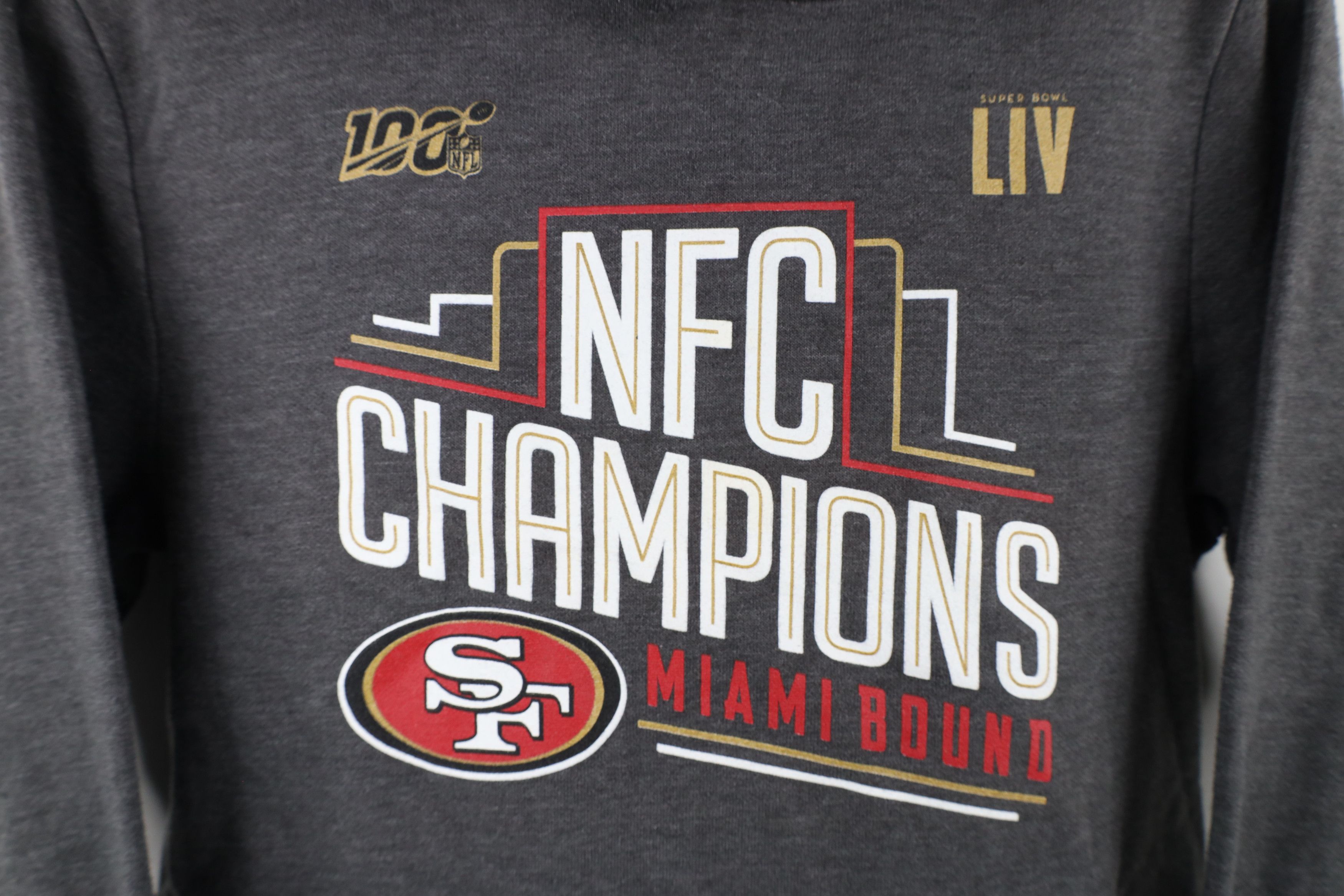 Vintage Fanatics Champions San Francisco 49ers Football Hoodie Gray Size M / US 6-8 / IT 42-44 - 6 Thumbnail