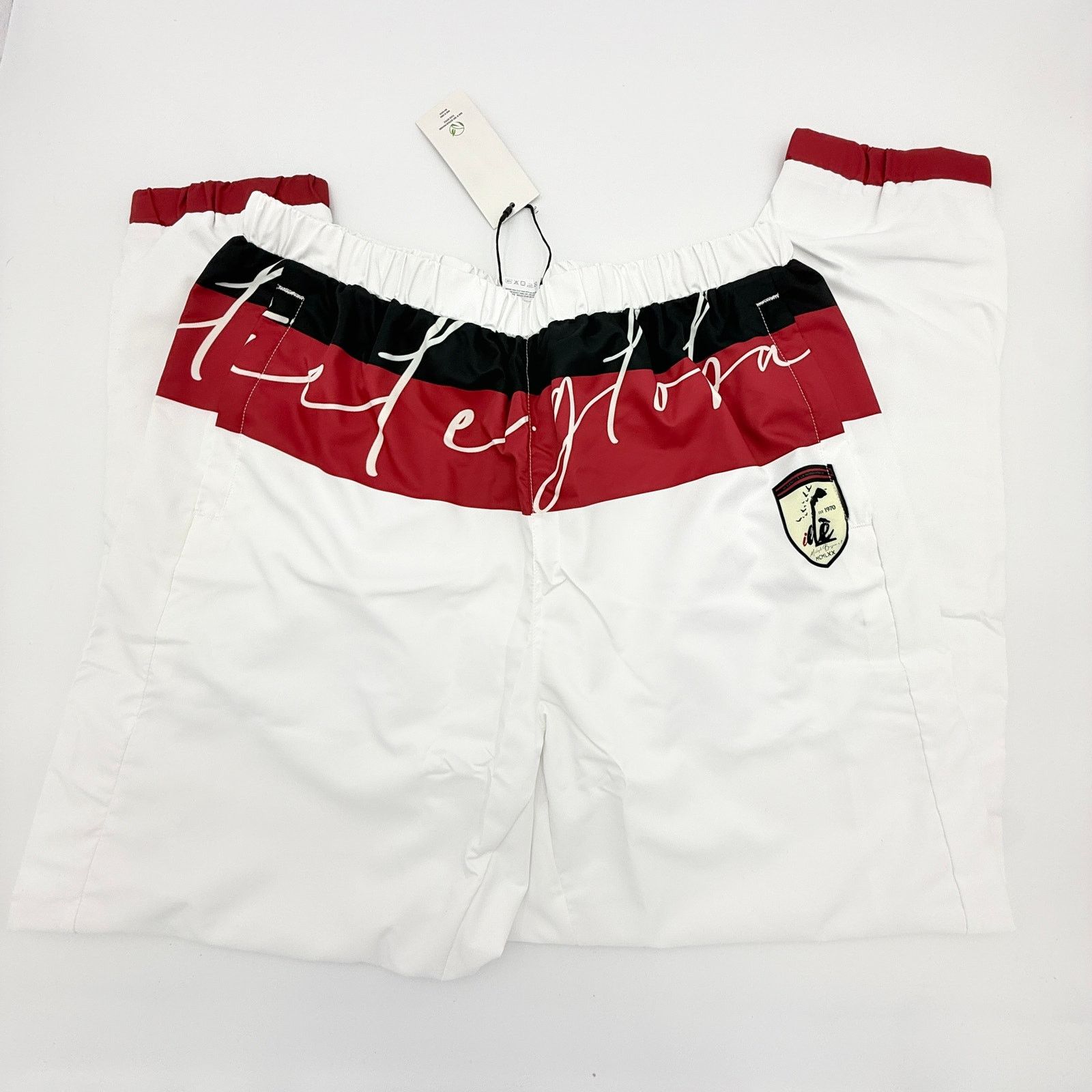 Other Iele Global Men's Colorblock Performance Joggers - Size L Size US 36 / EU 52 - 6 Thumbnail