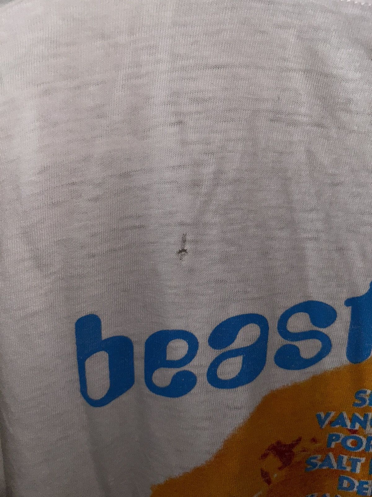 Vintage Beastie Boys “North American Nasty” Tour Shirt Size US L / EU 52-54 / 3 - 4 Thumbnail