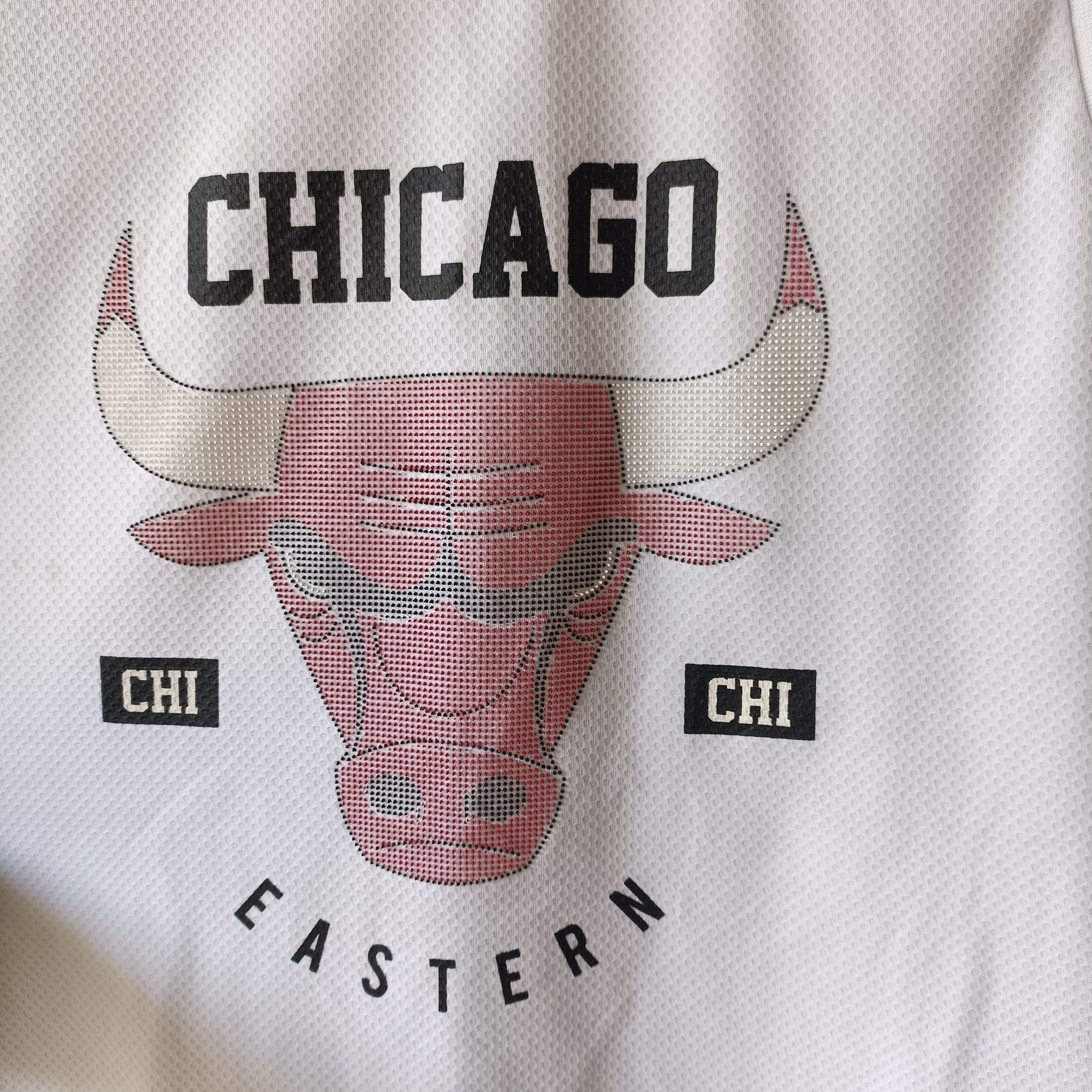 NBA NBA Chicago Bulls Fan Jersey Size US L / EU 52-54 / 3 - 2 Thumbnail