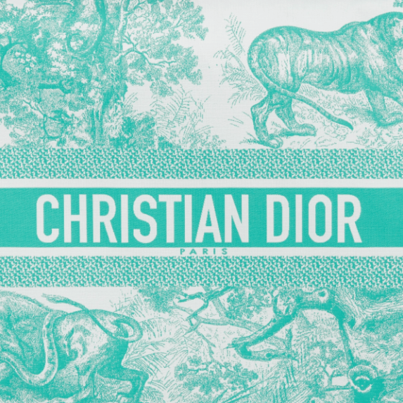Dior o1w1db10525 S5440O Size : OS / Zipped Pouch in Aquamarina Size ONE SIZE - 4 Thumbnail
