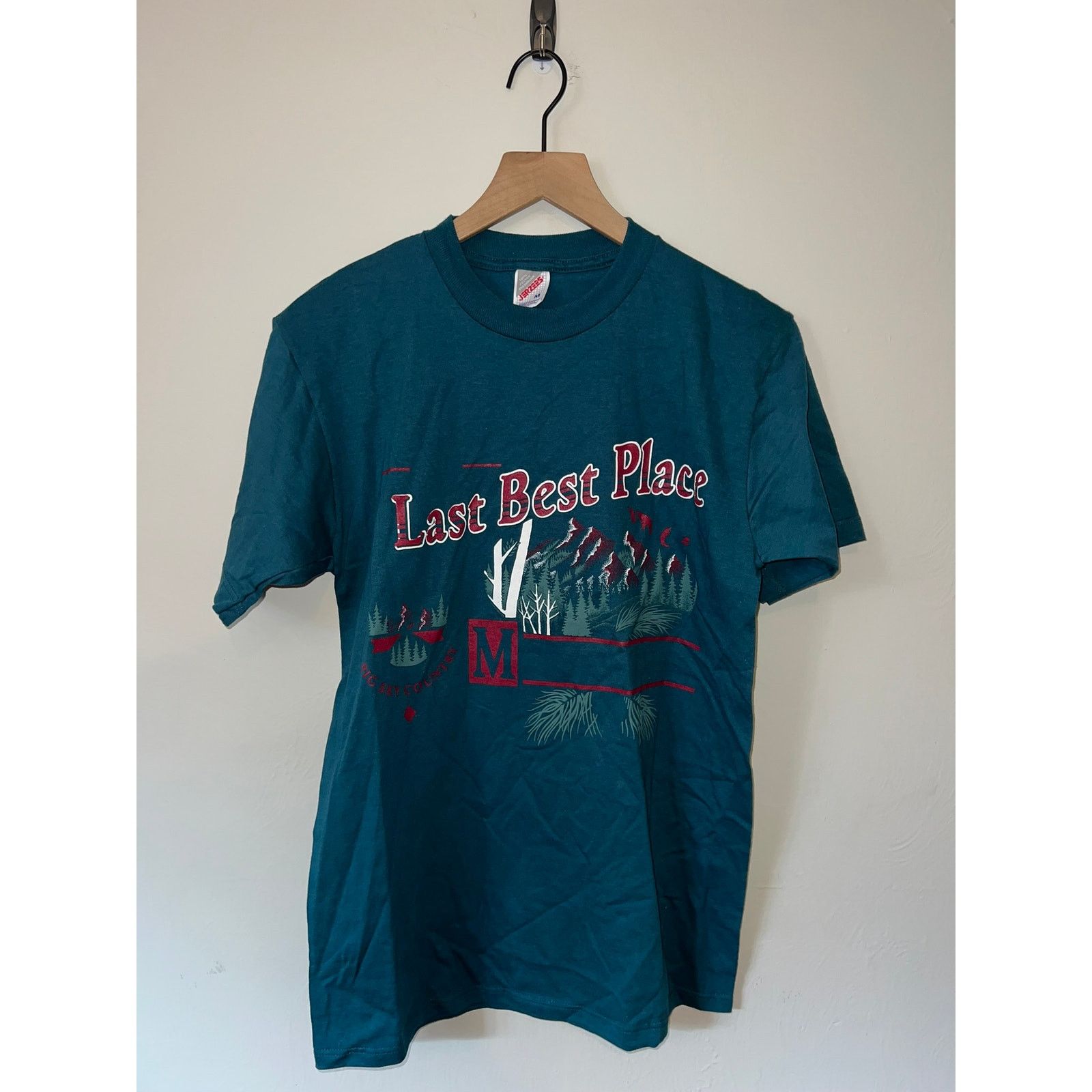 Jerzees Vintage Arizona Shirt 90s Last best Place Green Tee VTG M Size US M / EU 48-50 / 2 - 1 Thumbnail
