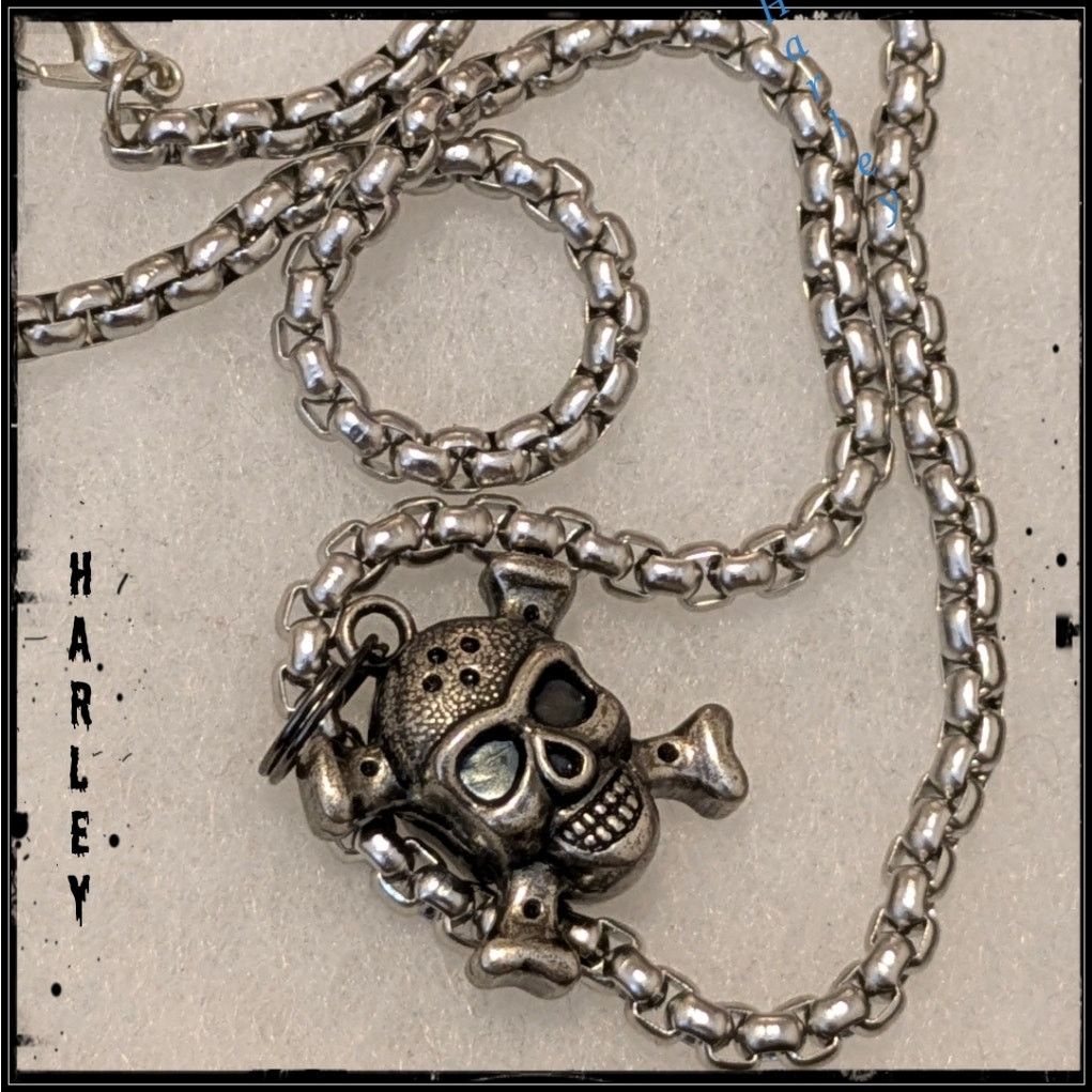 Harley Davidson HARLEY DAVIDSON Willie G Skull Pendant Necklace Size ONE SIZE - 1 Thumbnail