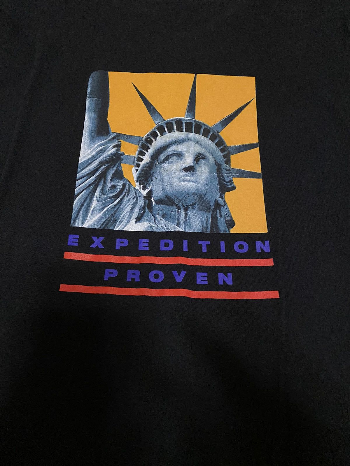 Supreme × The North Face Supreme The North Face Statue of Liberty 