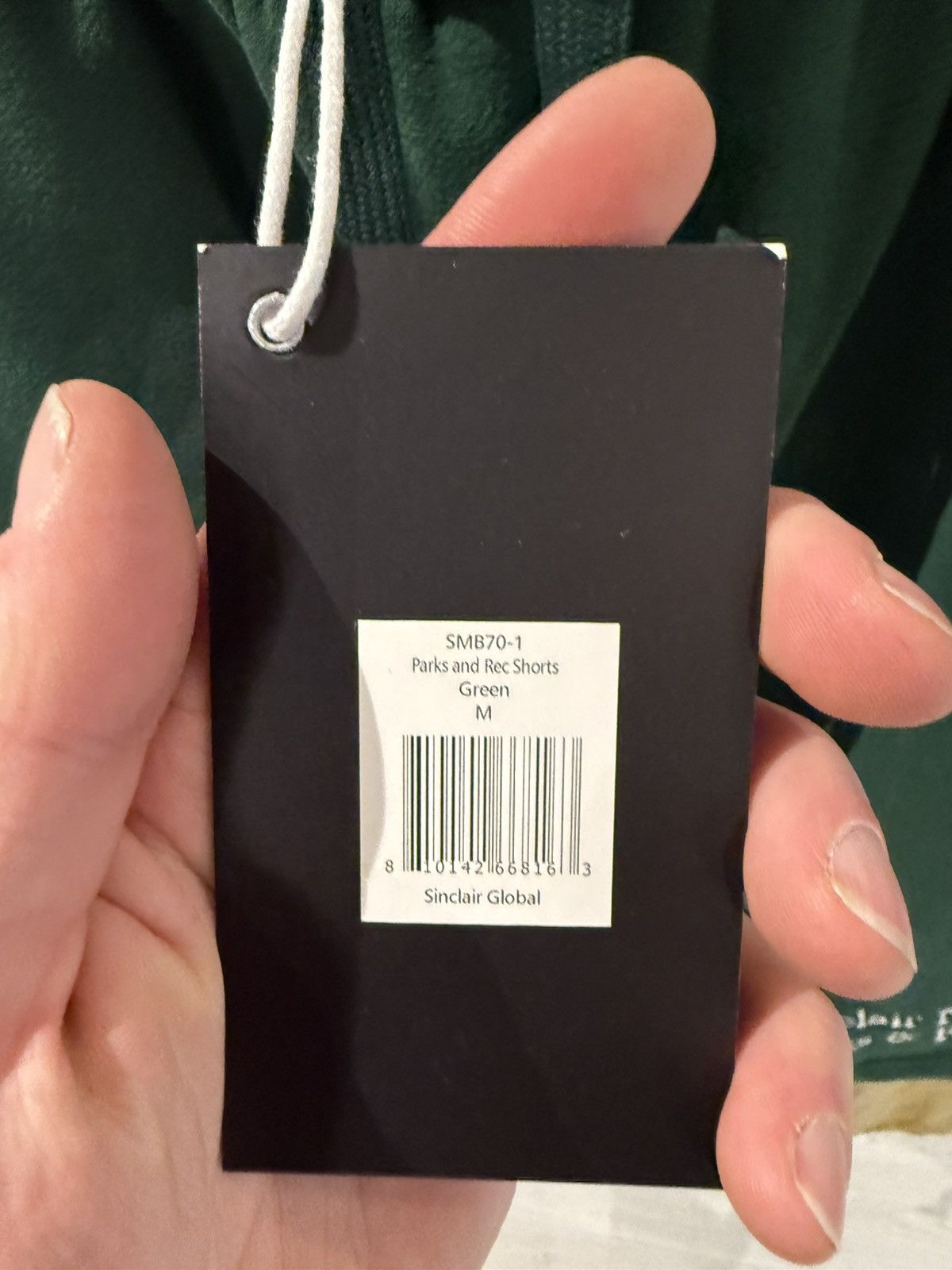 Sinclair Global Sinclair Parks and Recs Shorts Green Size US 32 / EU 48 - 3 Thumbnail