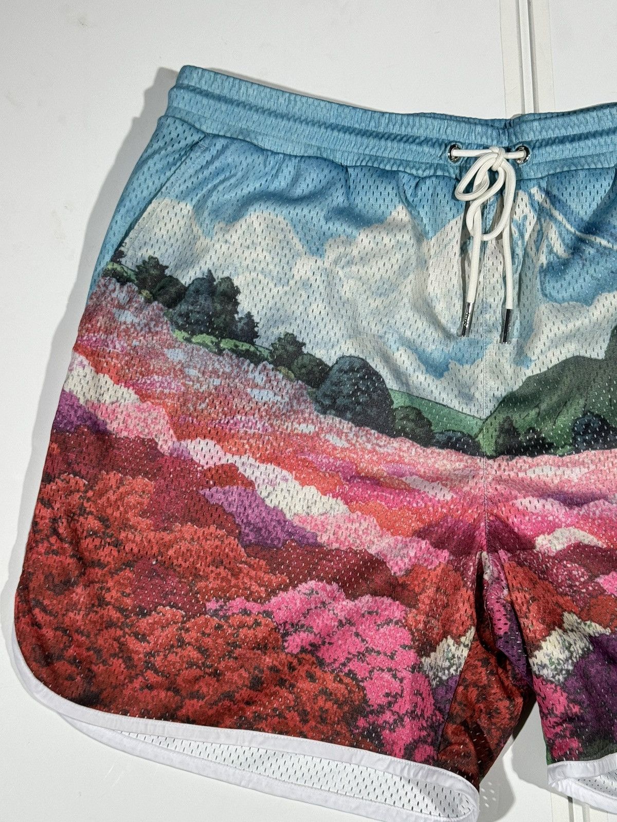Kith Kith Mountain Graphic Print Jersey Shorts Size US 40 / EU 56 - 3 Thumbnail