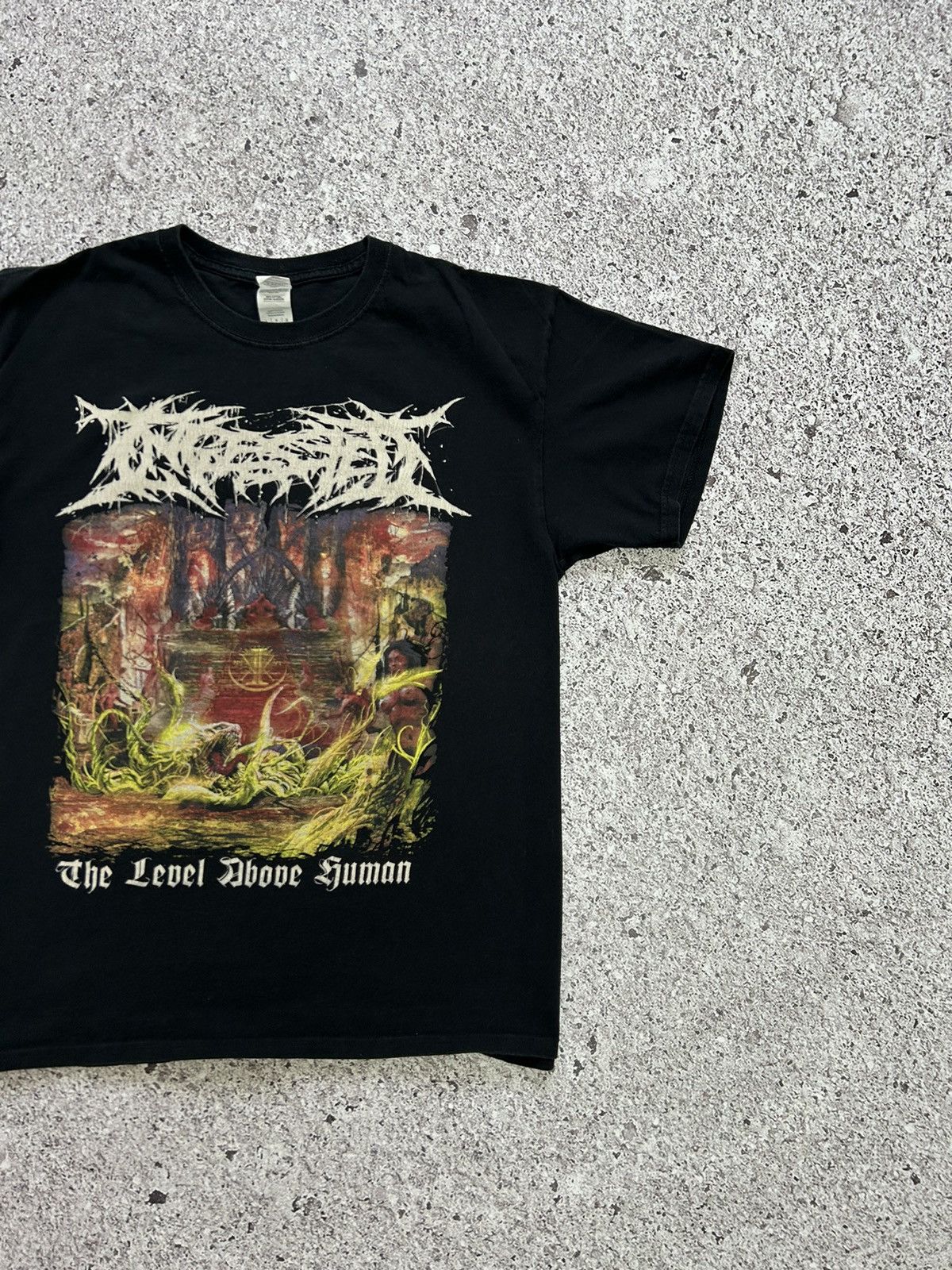 Band Tees The Level Above Human Ingested European Tour 2018 Tee Size US XL / EU 56 / 4 - 5 Thumbnail