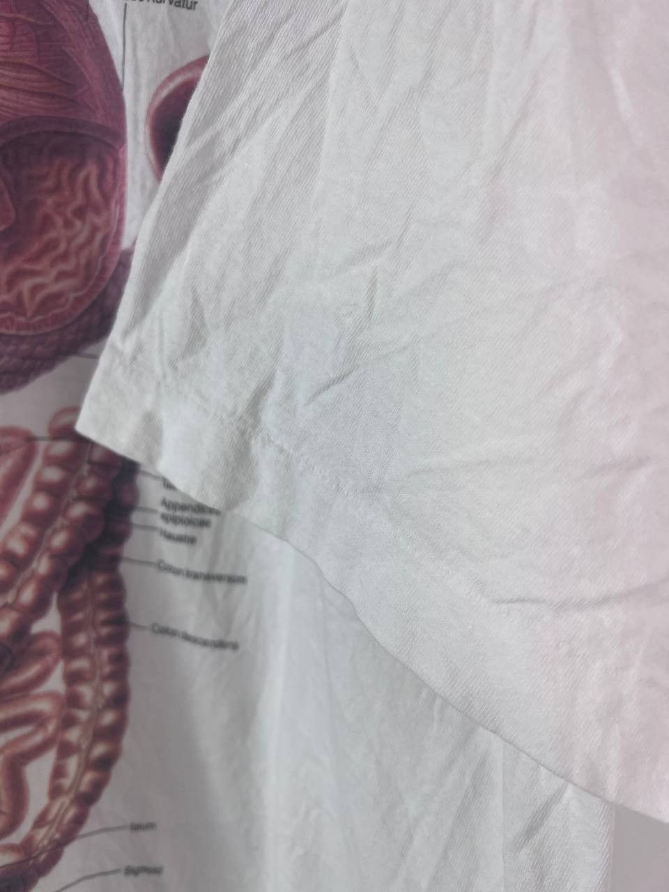 Other VINTAGE ANATOMY T-SHIRT INPUT DIGESTIVE SYSTEM 90s Size XL Size US XL / EU 56 / 4 - 4 Thumbnail