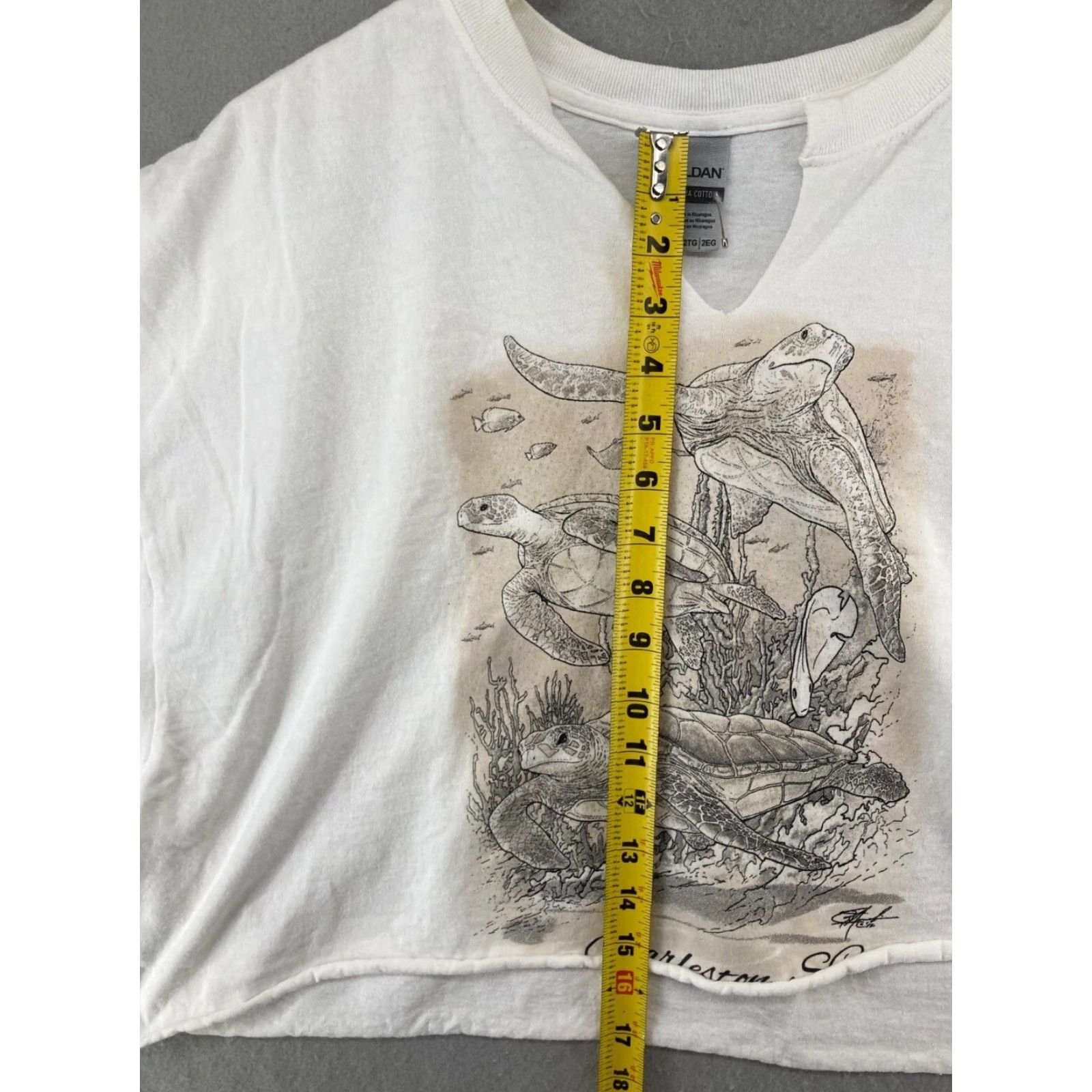 Gildan Gildan Charleston SC Sea Turtle Womens Promo Tee 2XL White Cropped Shirt Womens Plus 2XL White Beach 90s Style Cropped Tee Mens? Size XXL / US 16-18 / IT 52-54 - 3 Thumbnail